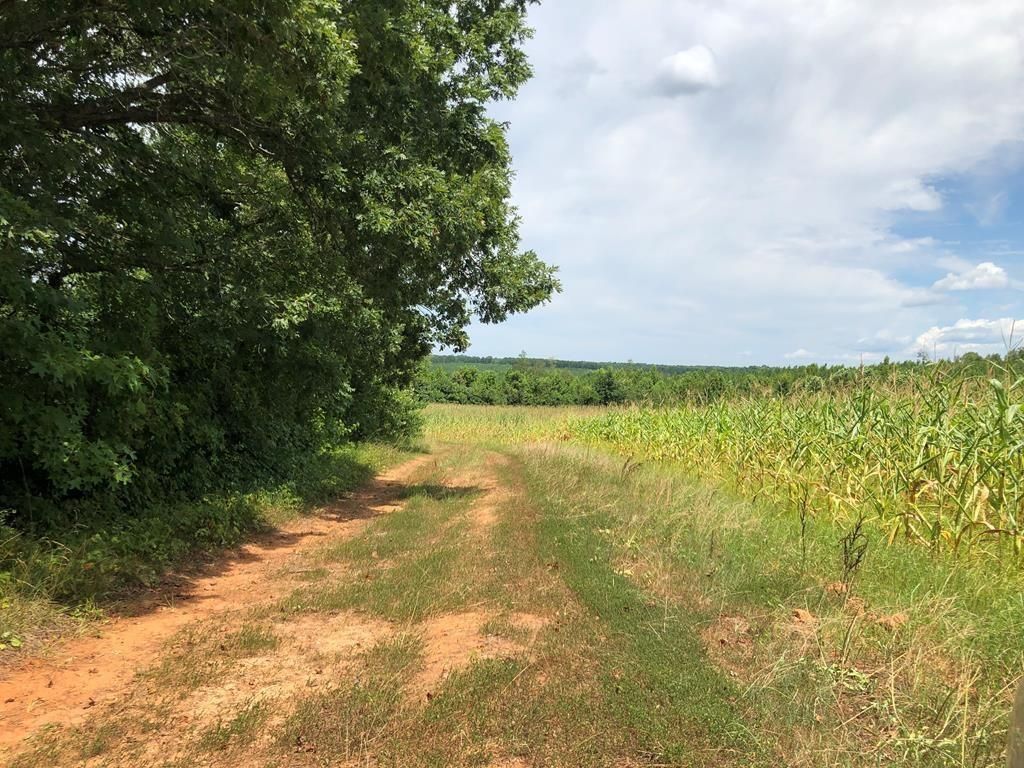 216 Acres, 3024 Neals Corner Road, Clover, VA 24534 Land and Farm