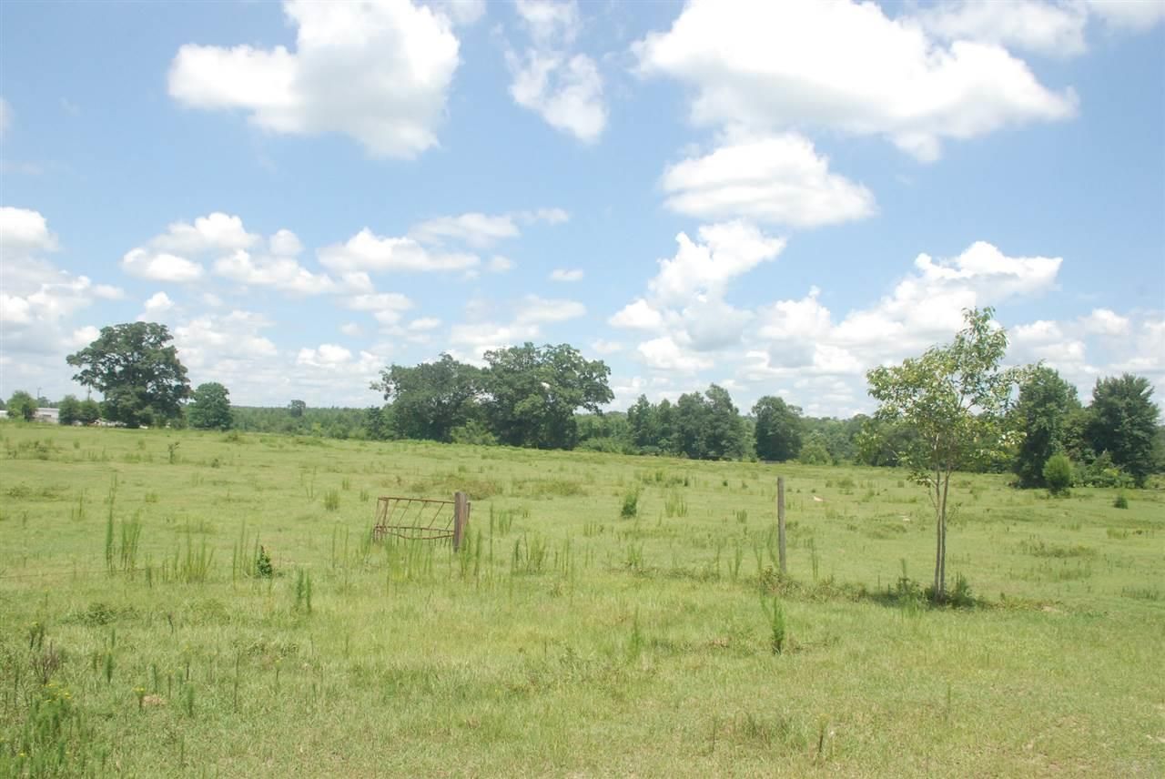 20 Acres, 03 HWY 31, Castleberry, AL 36432 Land and Farm