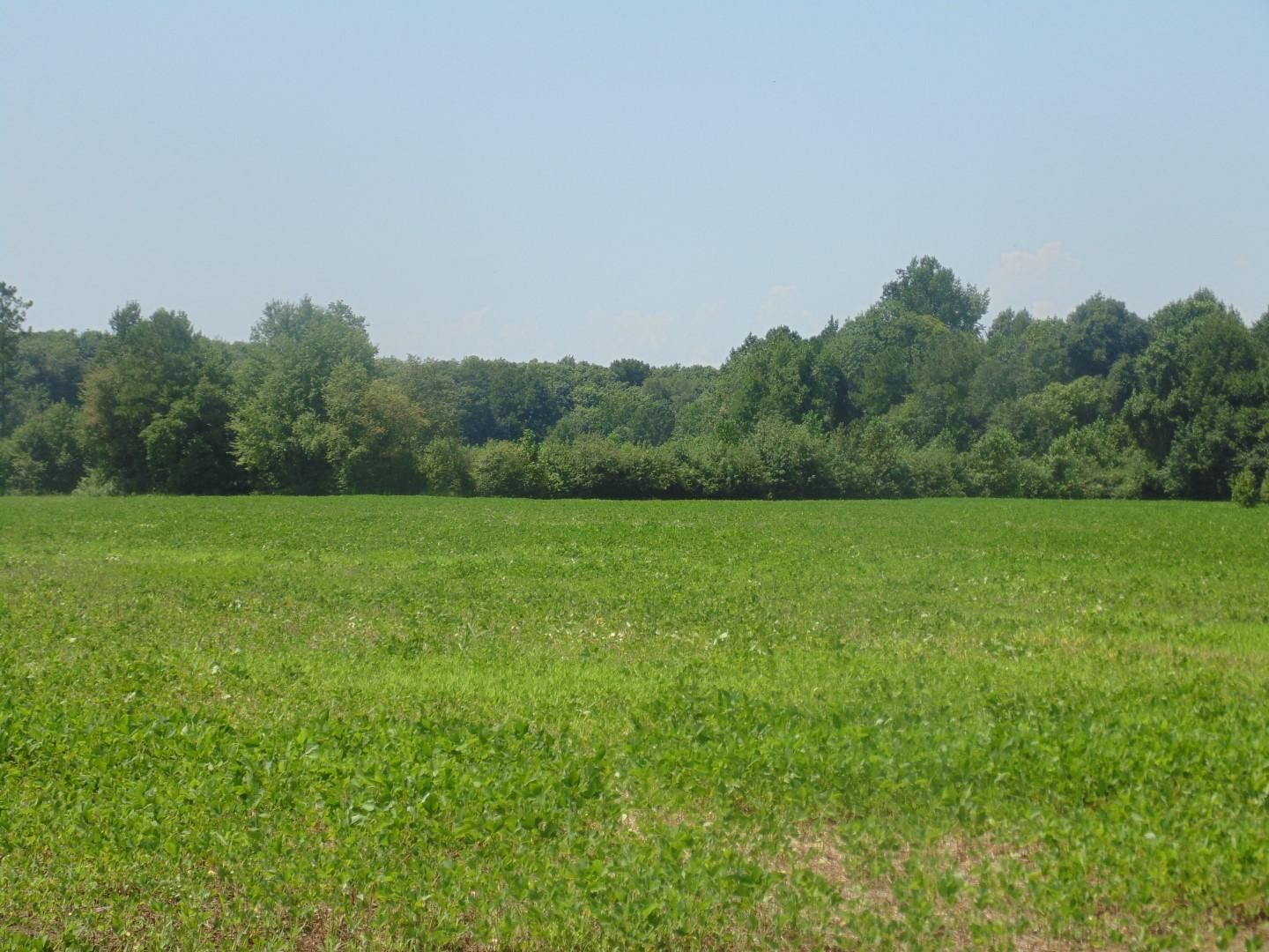 Liverman Mill Road, Ahoskie, NC 27910 Land and Farm