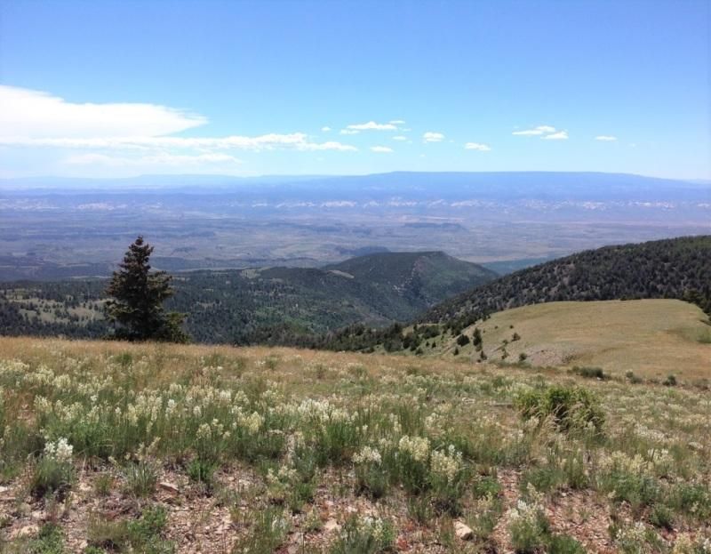 Henry Mountains, Torrey, UT 84775 MLS 1598691 Land and Farm