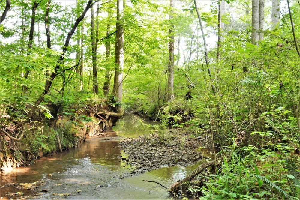 24 Acres, 0 Stipes Road, Green Pond, AL 35074 Land and Farm