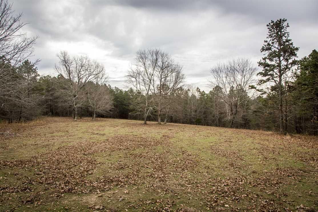 70 Acres, Shady Grove Road, Shirley, AR 72153 Land and Farm