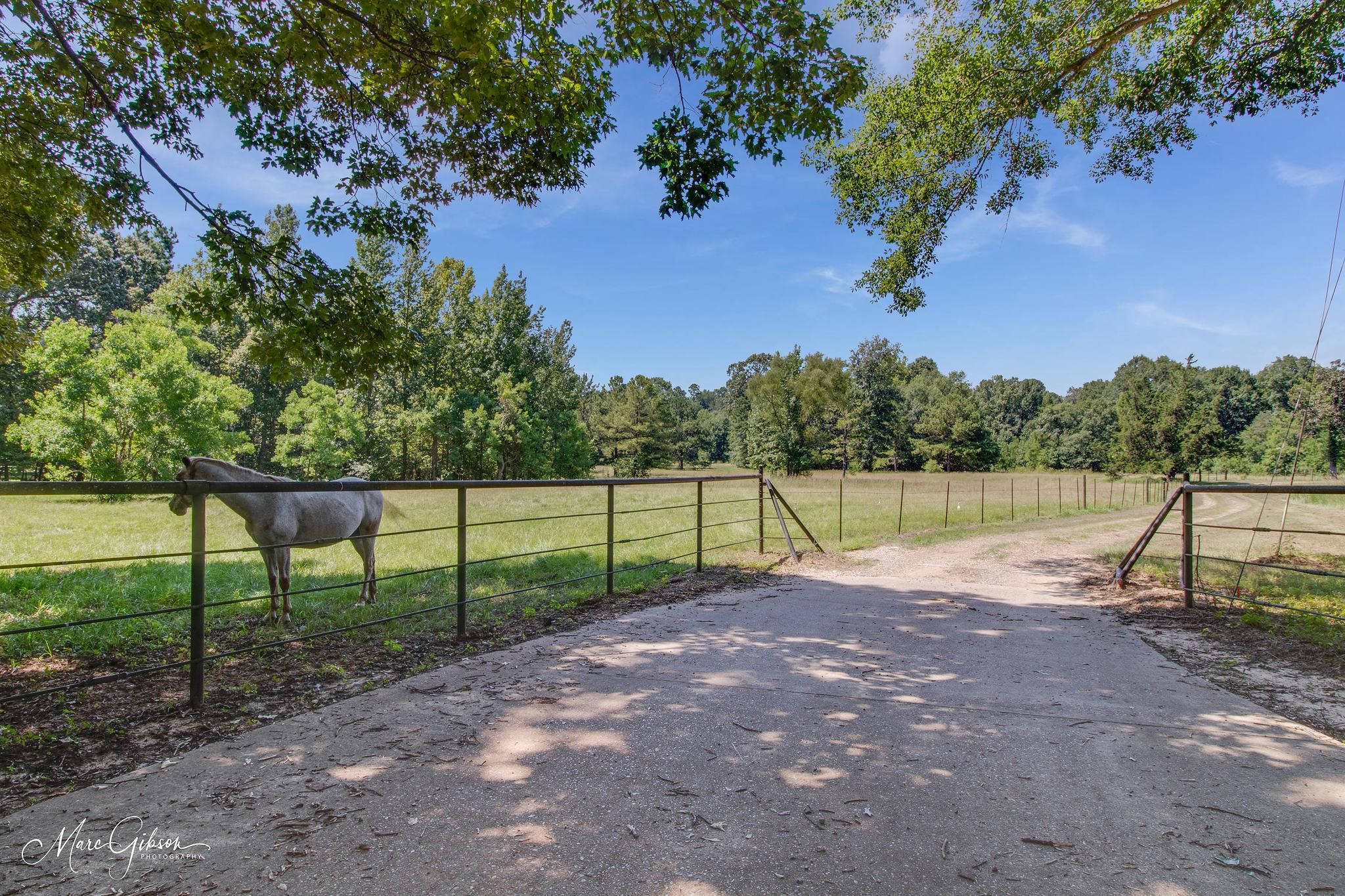 170 Deer Trail Drive, Benton, LA 71006 MLS 2304230010 Land and Farm