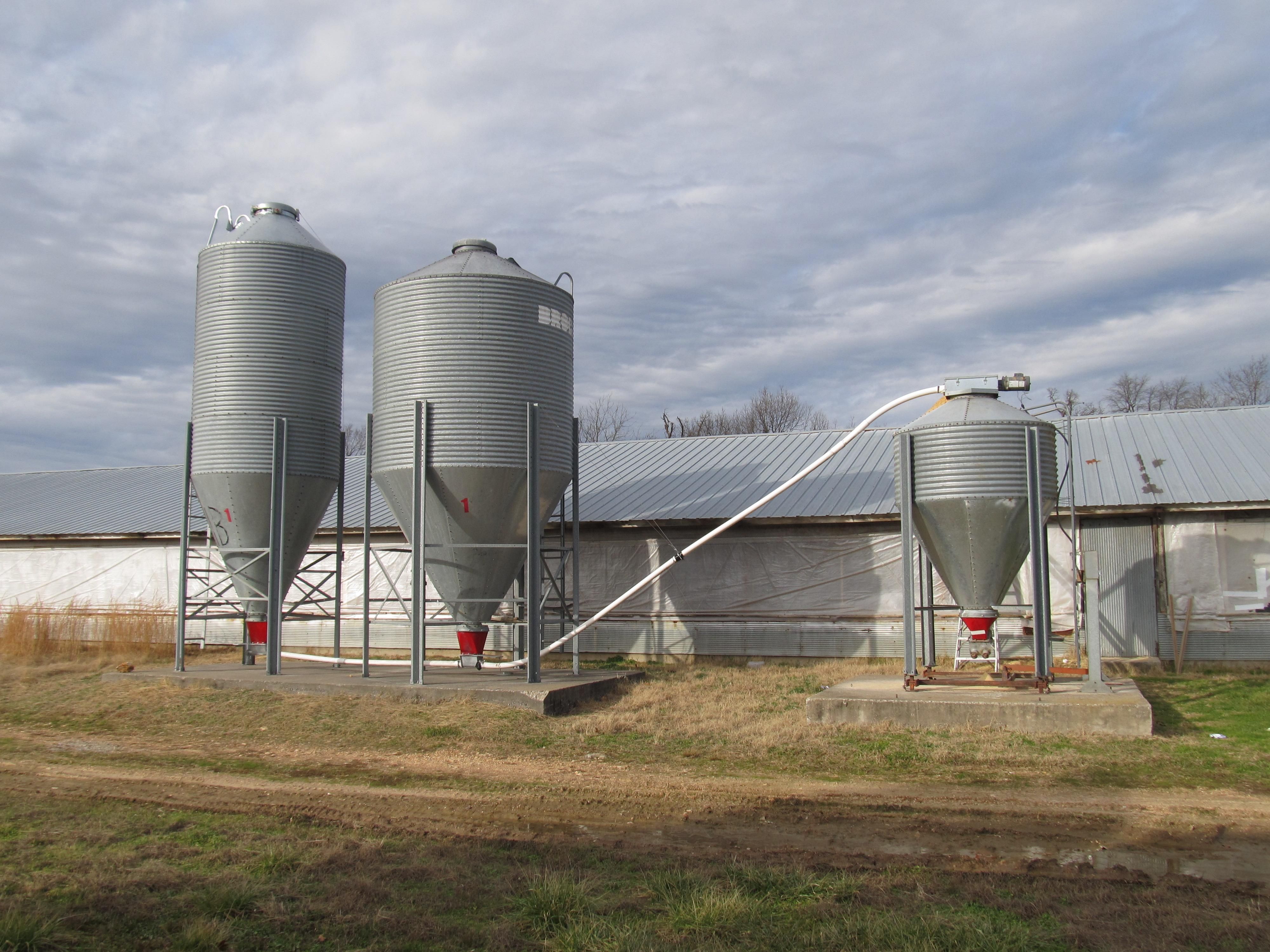 Madison 7205, Hindsville, AR 72738 MLS 3069 Land and Farm