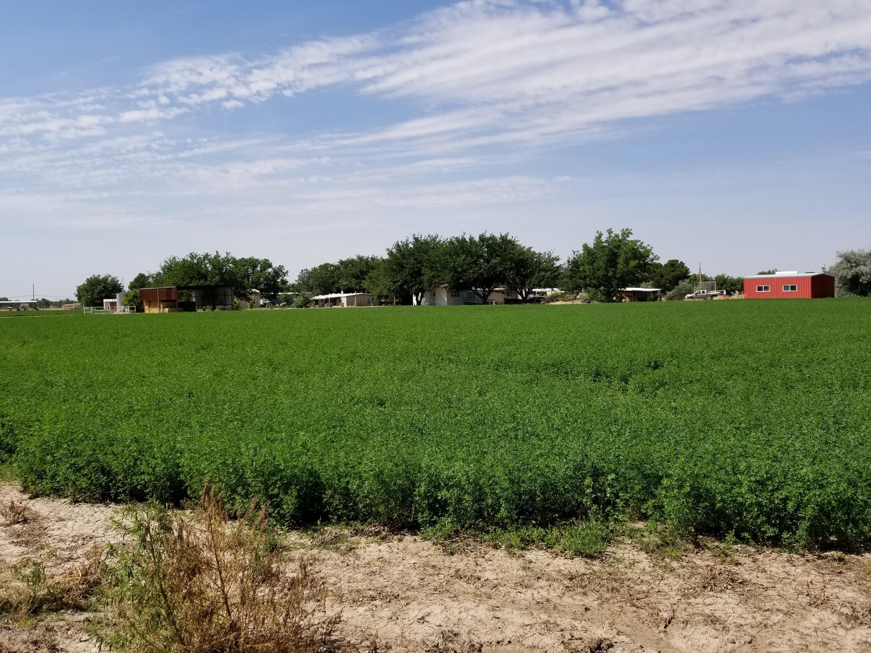5.87 Acres, 397 Smokey Acres Road, Mesilla Park, NM 88047 Land and Farm