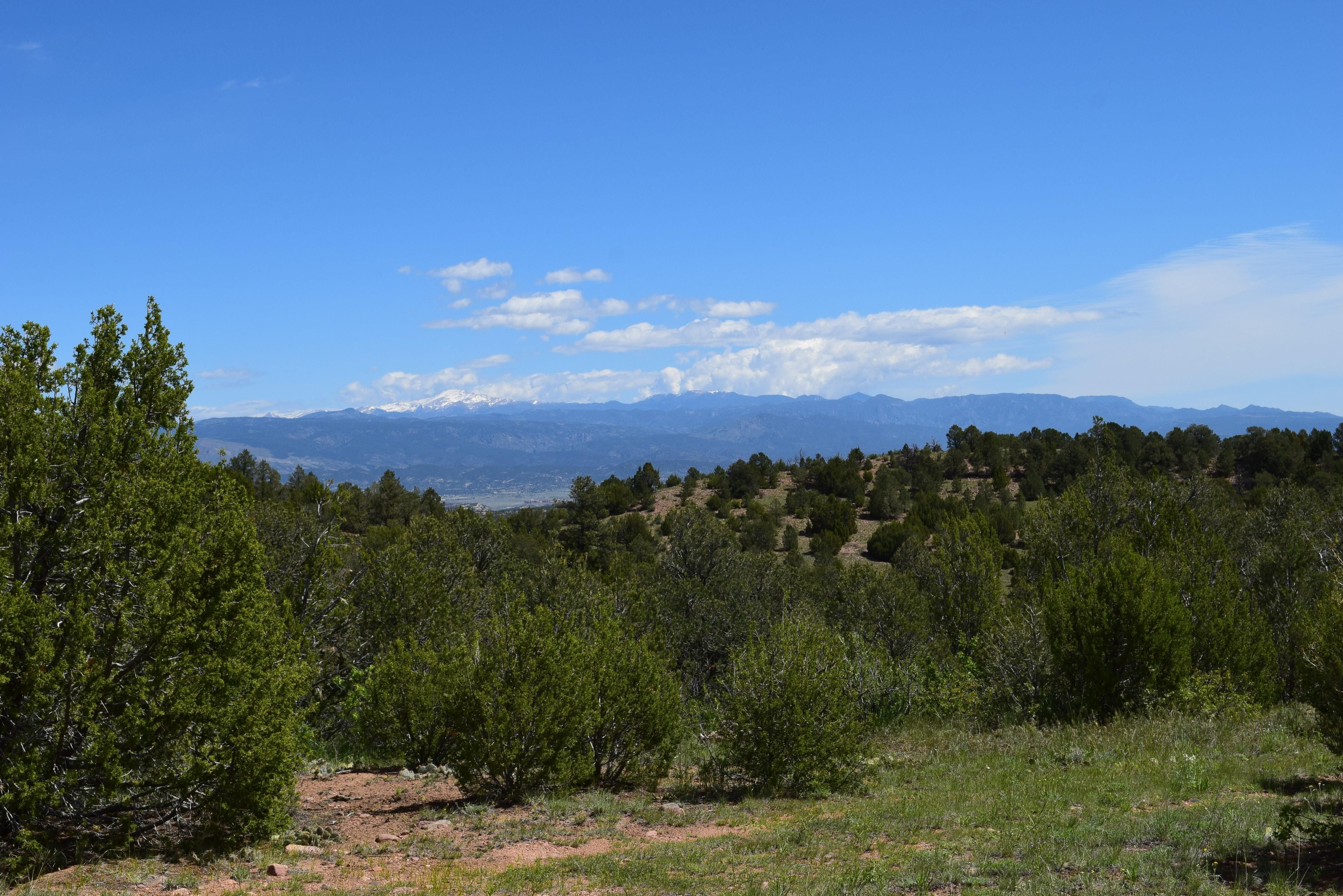 430 Acres, County Road 84 B, Florence, CO 81226 Land and Farm