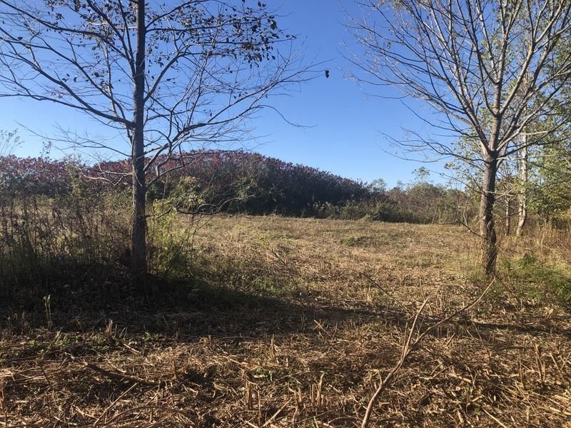 4.72 Acres, Jimmy Reece Road, Edmonton, KY 42129 Land and Farm