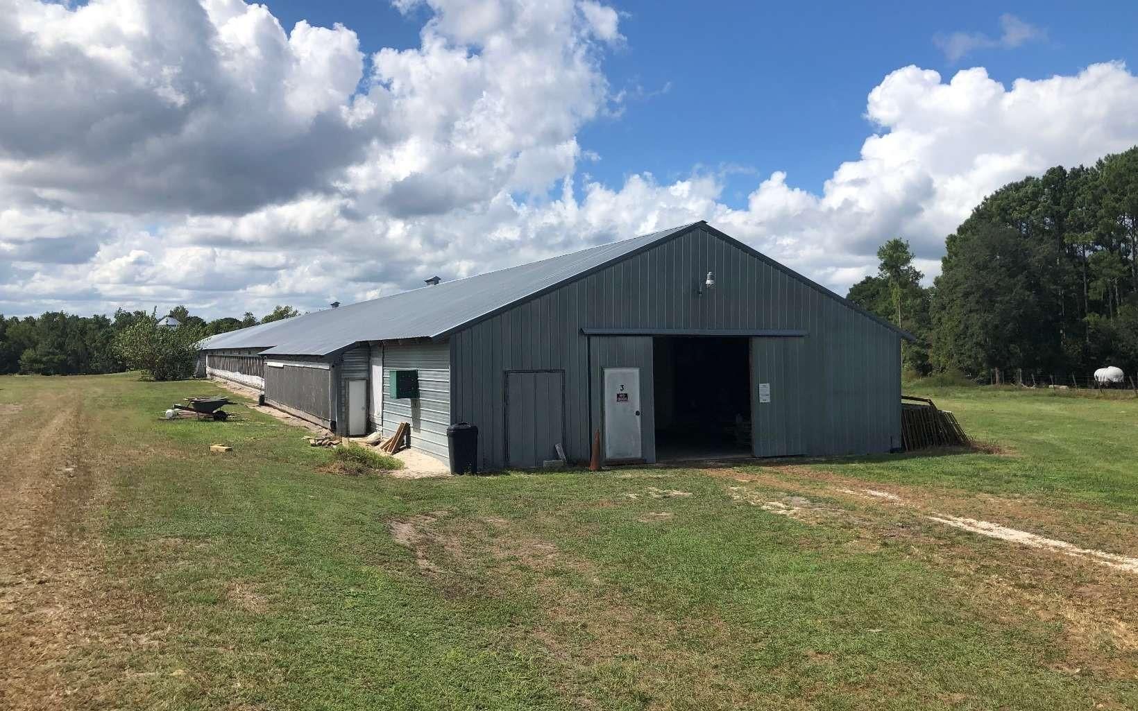 159 Union Grove Cemetery Road, Palatka, FL 32177 MLS 106207 Land