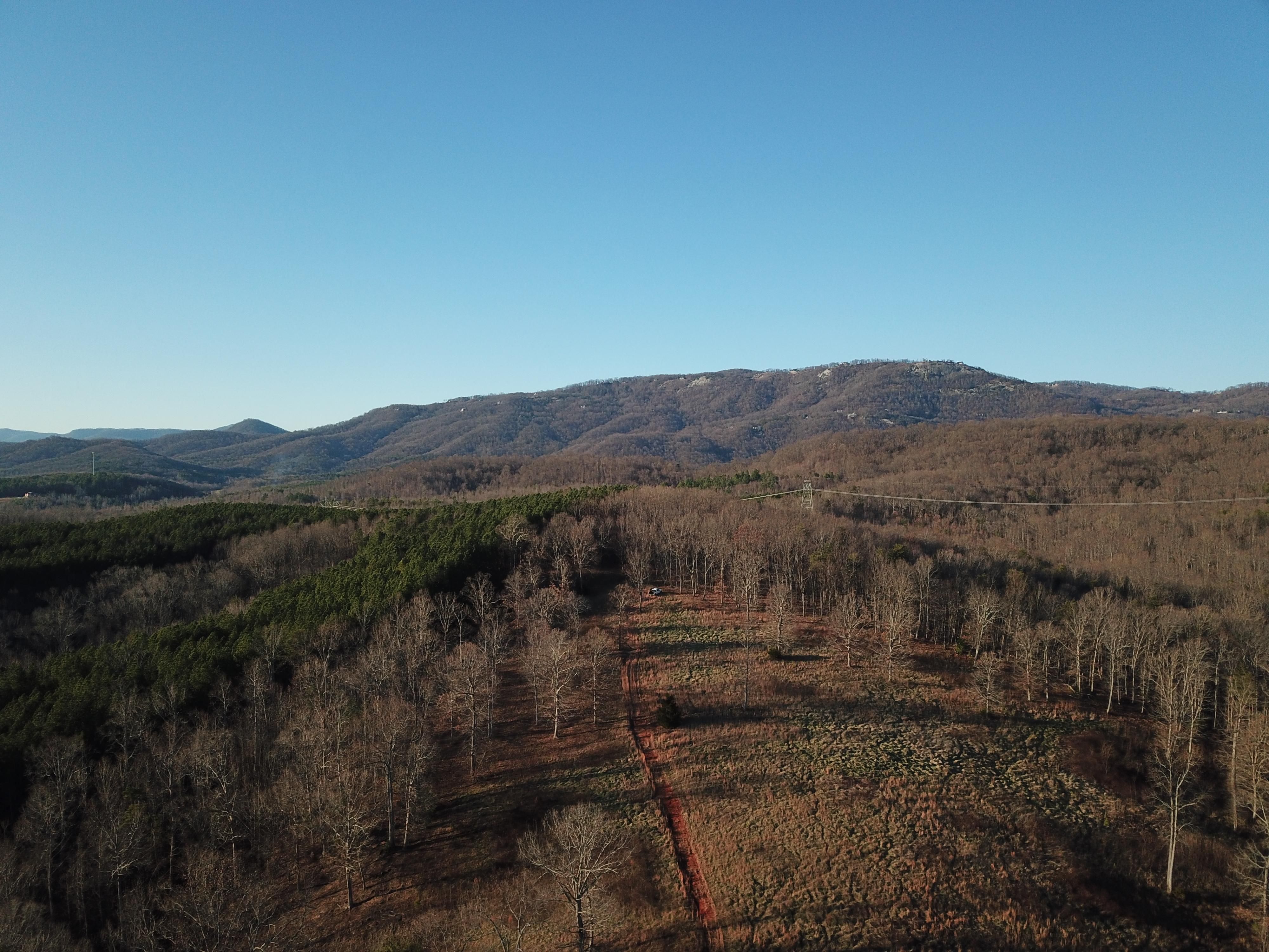 14 Old Ballenger Mill Road, Landrum, SC 29356 MLS 204493 Land and Farm