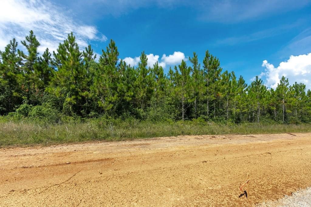 3 Acres, Plantation Trace Drive, Longville, LA 70652 Land and Farm