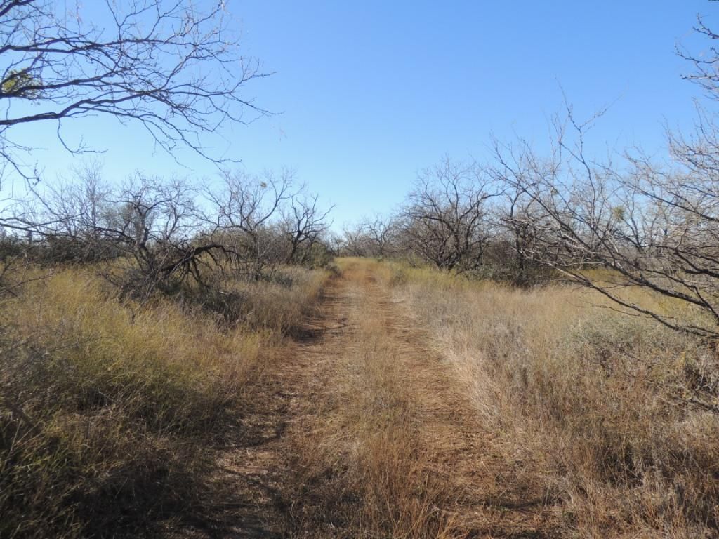 160.98 Acres, 1514 CR 311, Gouldbusk, TX 76845 Land and Farm