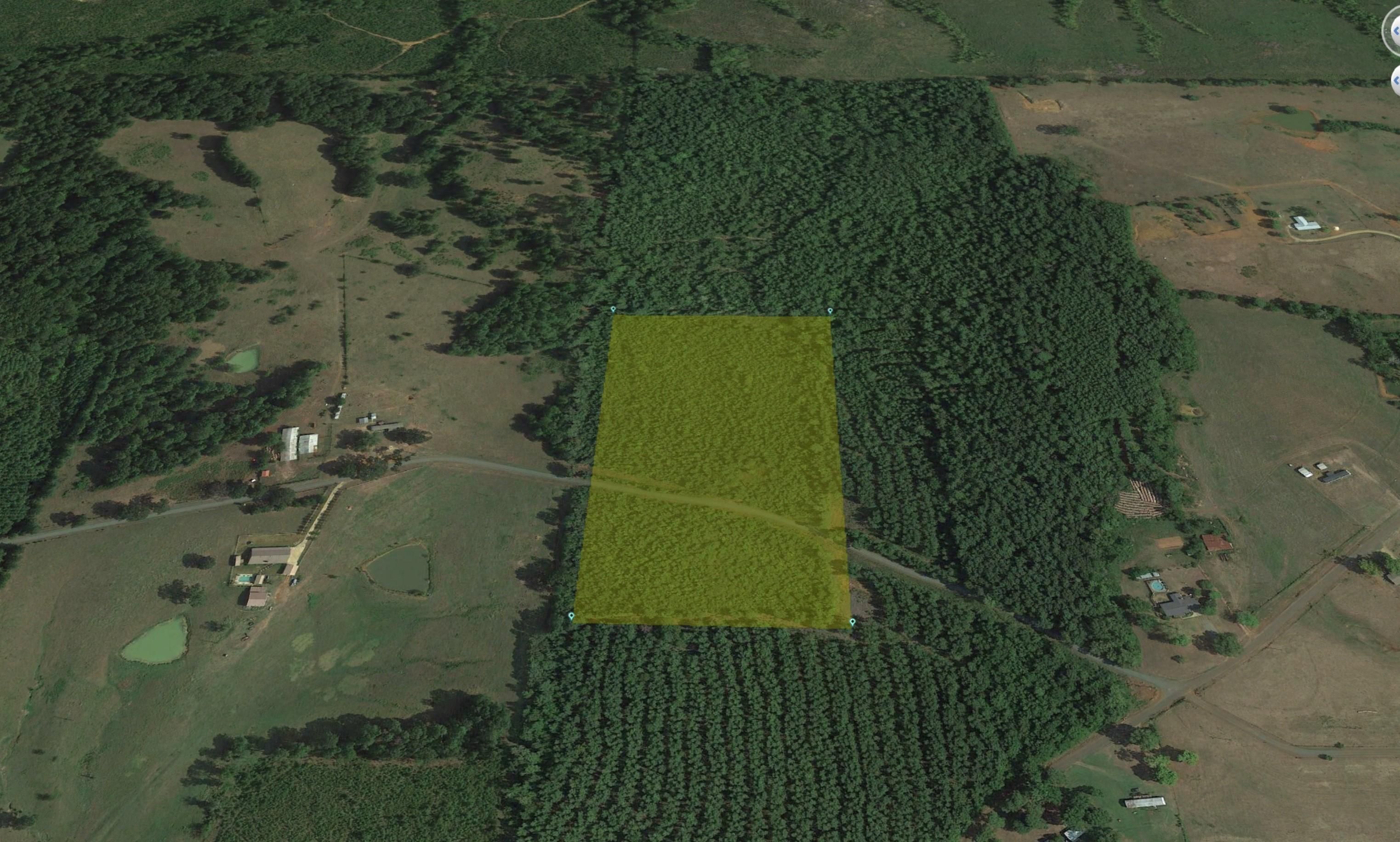 16 Acres, Florien, LA 71429 Land and Farm