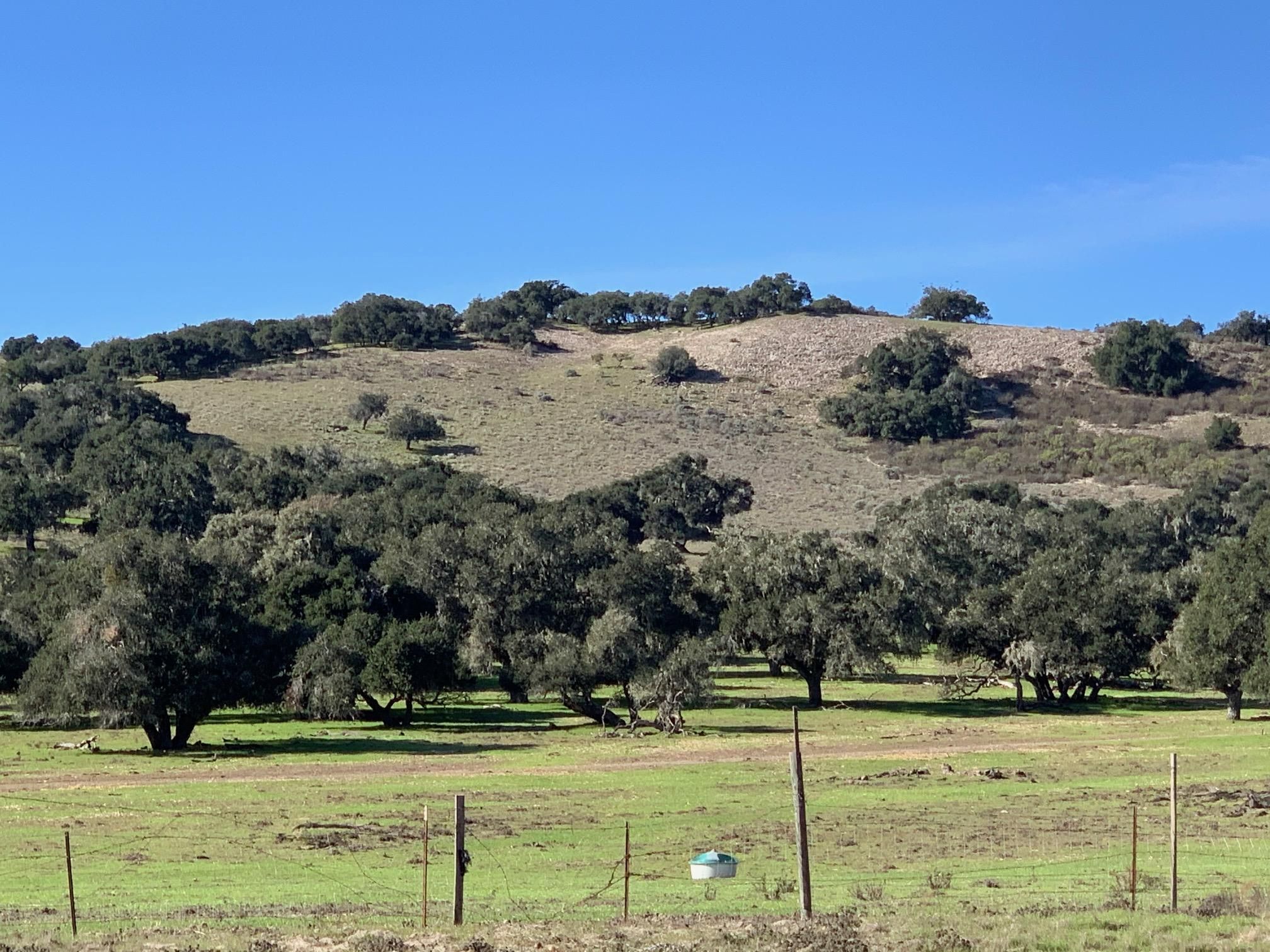 860 W HWY 246, BUELLTON, CA 93427 Land and Farm