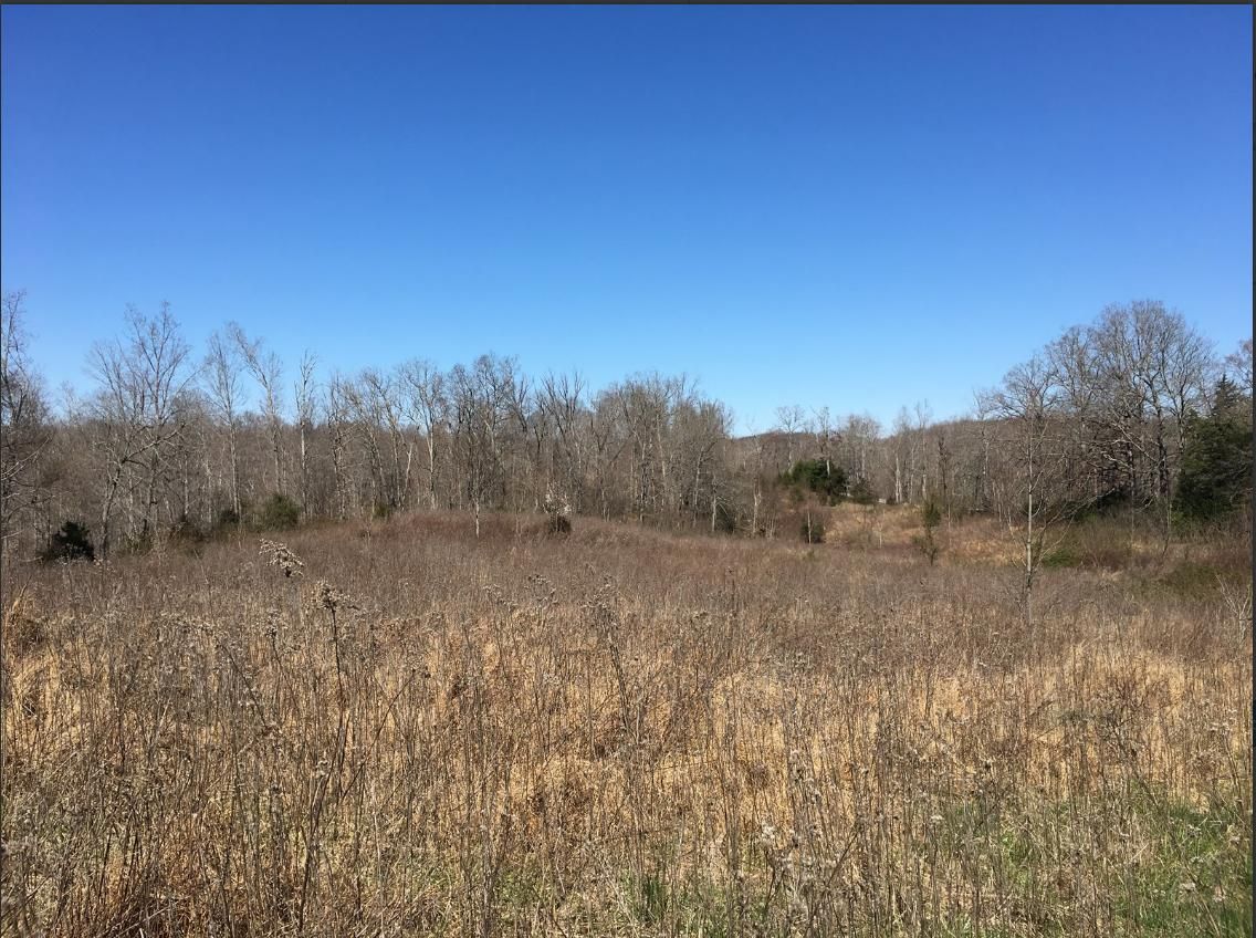 60 Acres, 60 Jones Ridge Road, Albany, KY 42602 Land and Farm