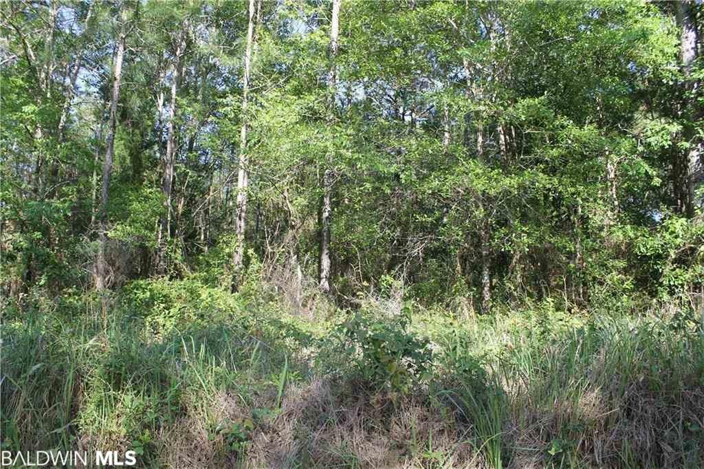10 Acres, Miller Ln, Grand Bay, AL 36541 Land and Farm