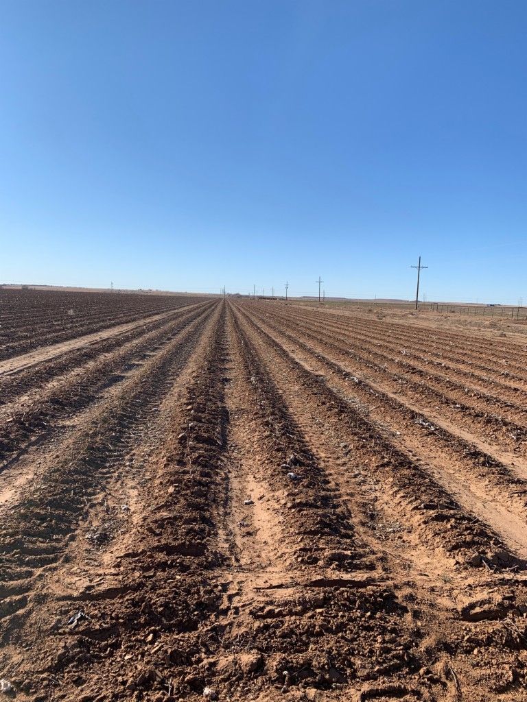 160 Acres, 160 ACRES COUNTY ROAD 5200, Abernathy, TX 79311 Land and Farm