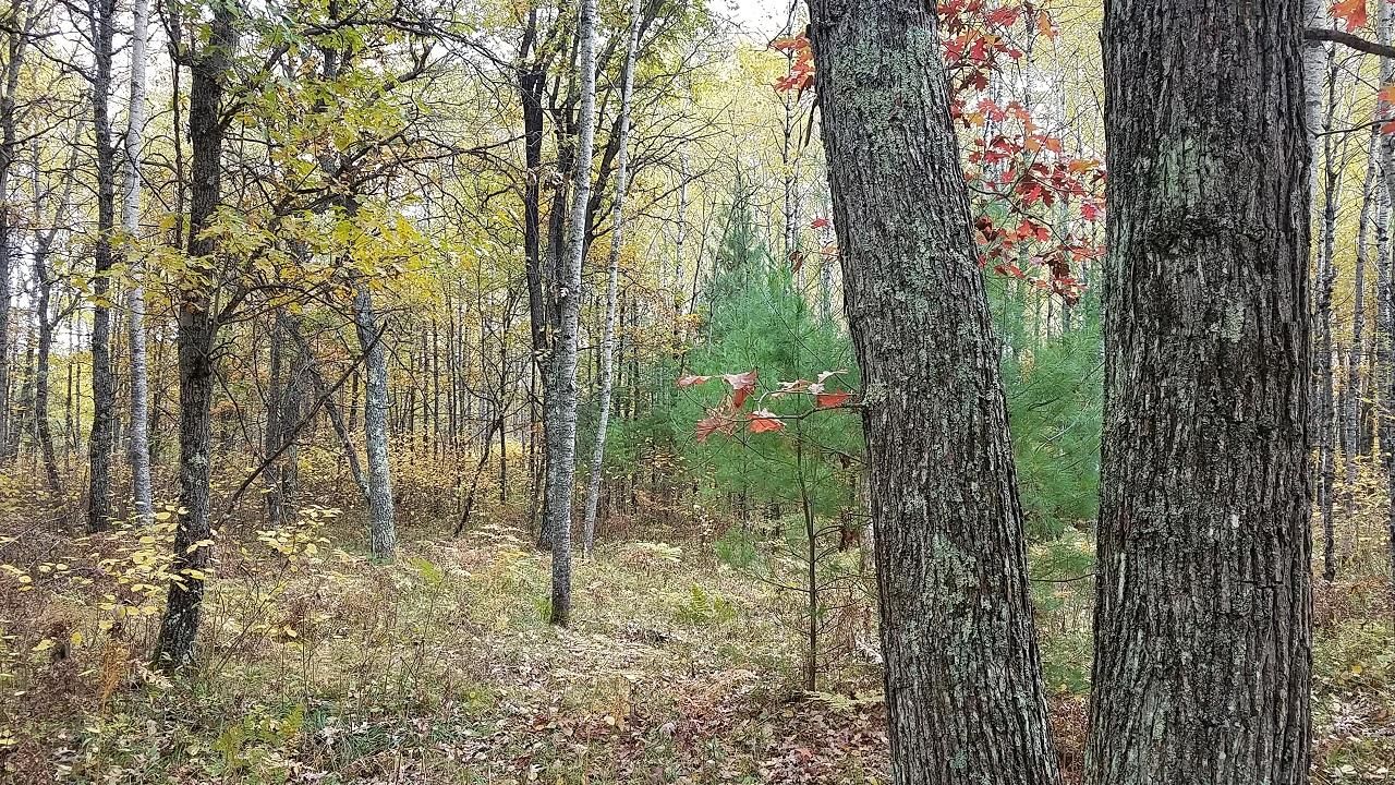 6 acres in Amberg, WI, 54102 Land and Farm