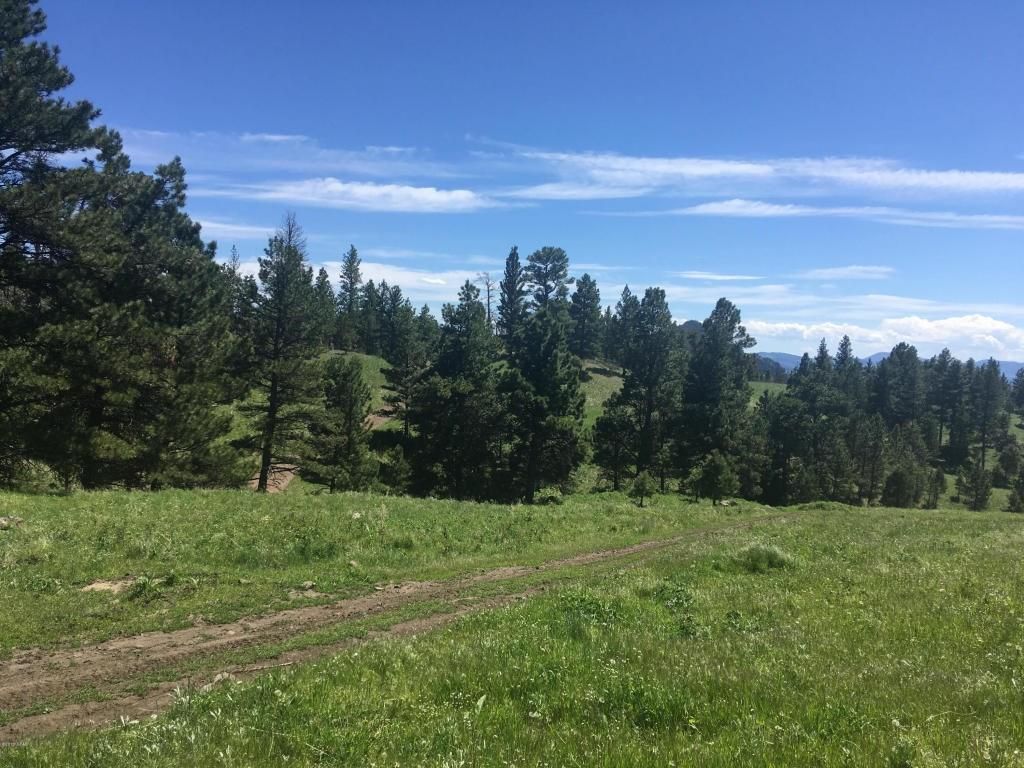 21.39 Acres, Tbd Hideaway Lane, Cascade, MT 59421 Land and Farm