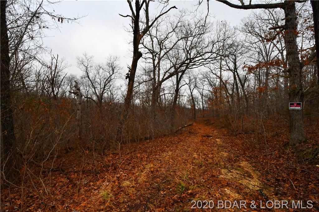 9 Acres, Concrete Drive, Camdenton, MO 65020 Land and Farm