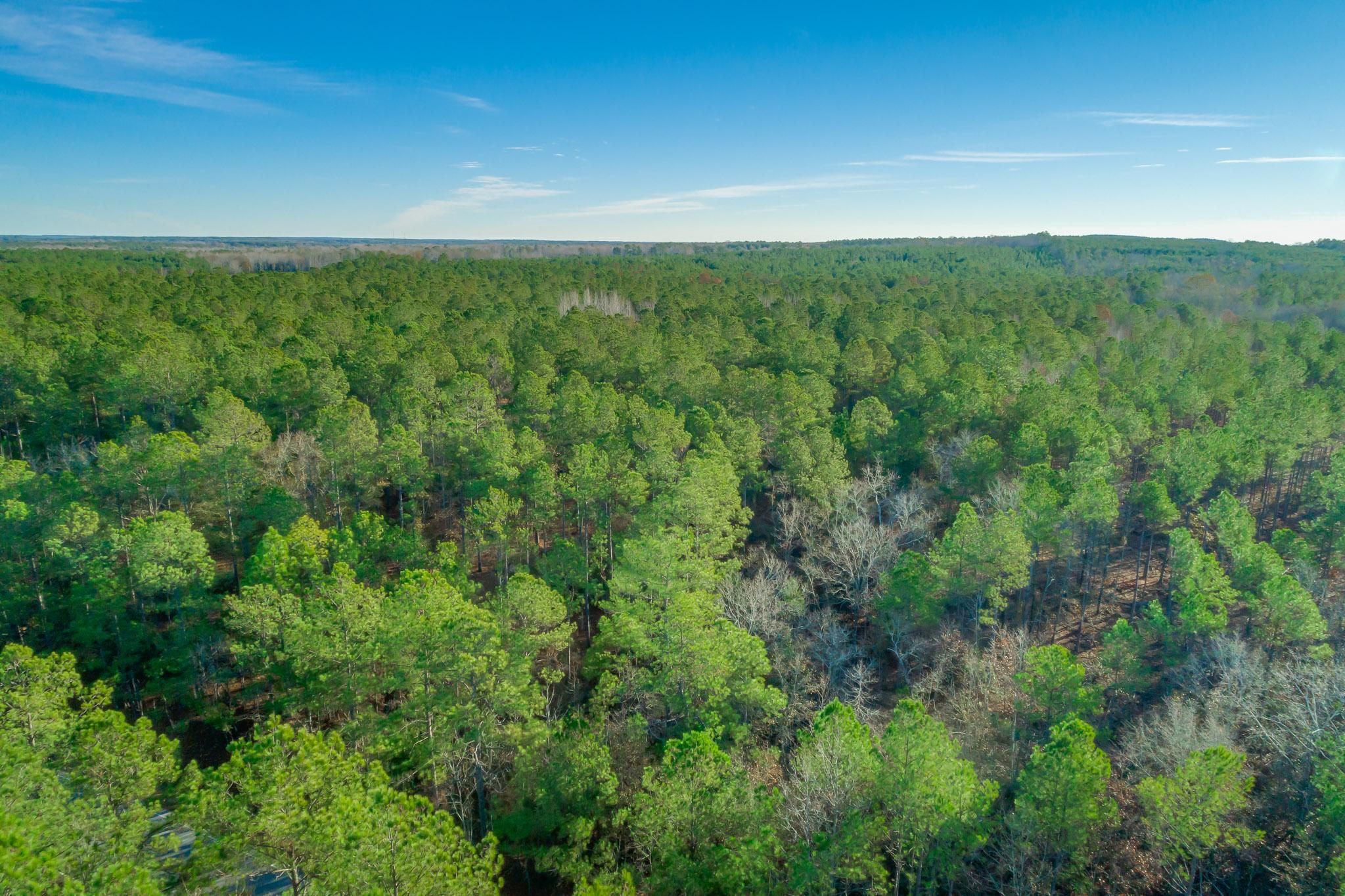 St James Rd, Rembert, SC 29128 Land and Farm