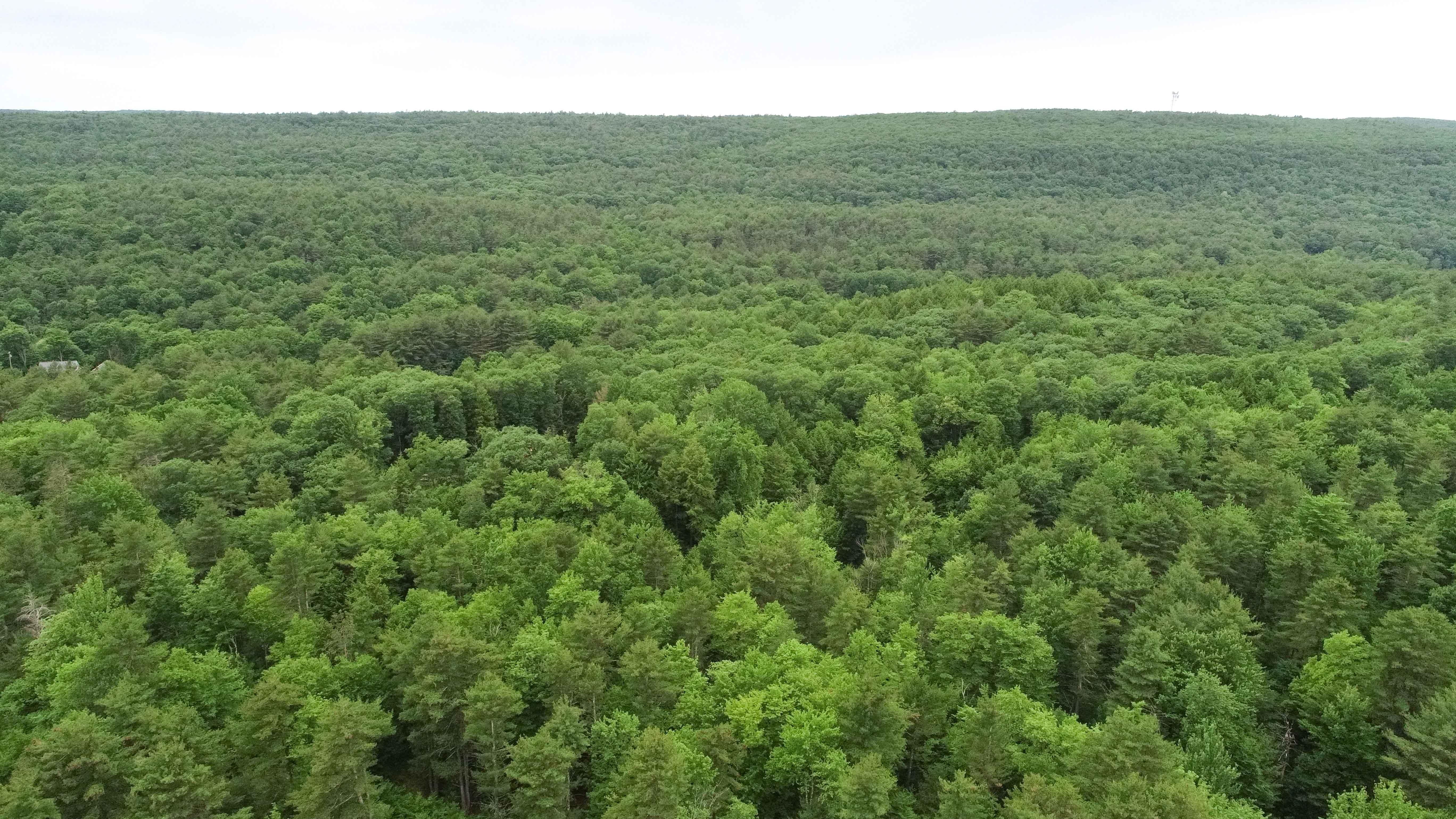 5.22 Acres, 5 Acres Lawson Lake Road, Coeymans, NY 12067 Land and Farm