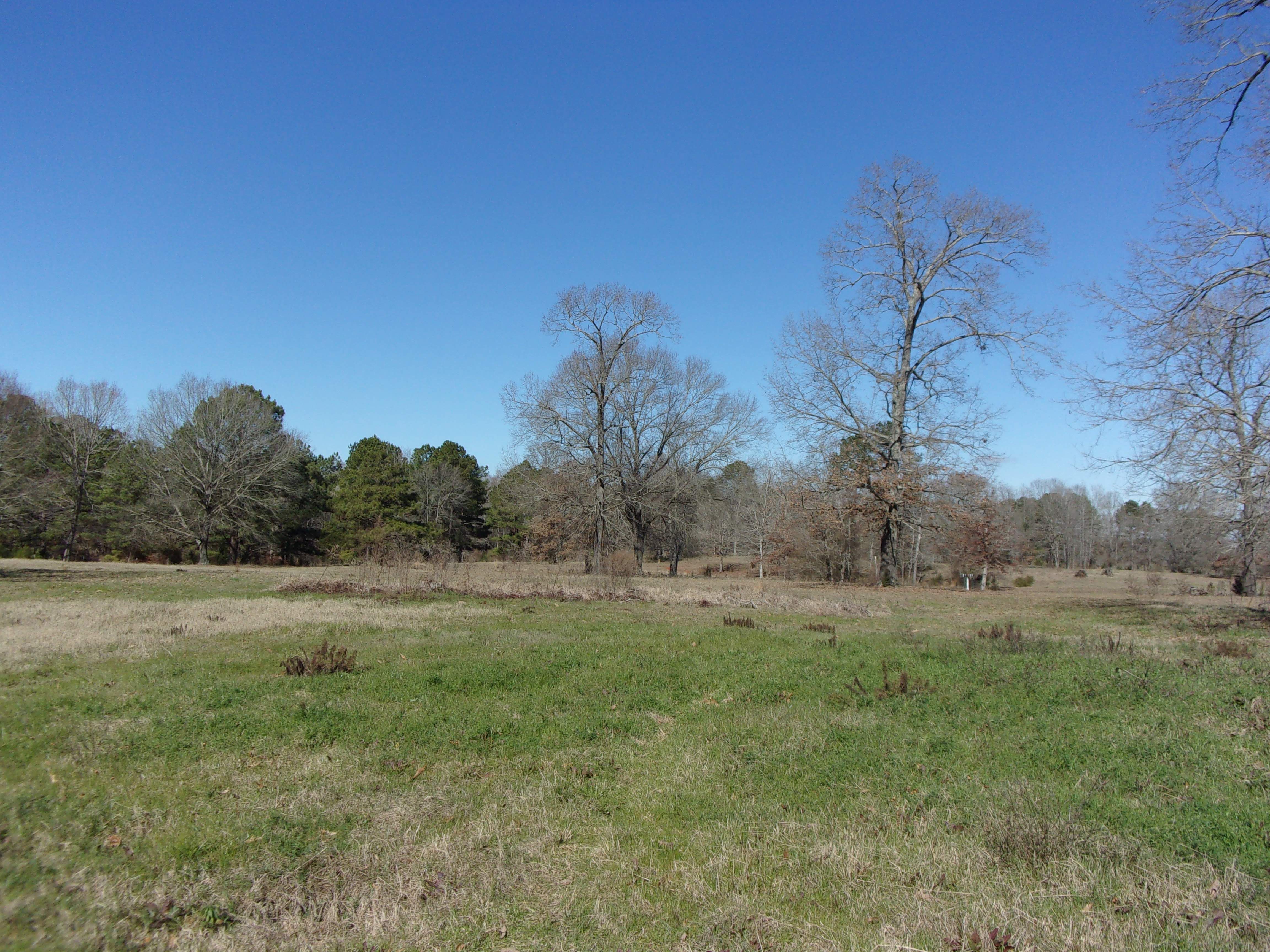 38 Acres, TBD FM 2208, Jefferson, TX 75657 Land and Farm