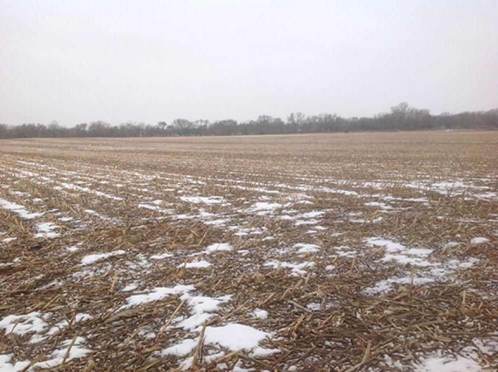 69.42 Acres, Waverly, NE Land and Farm