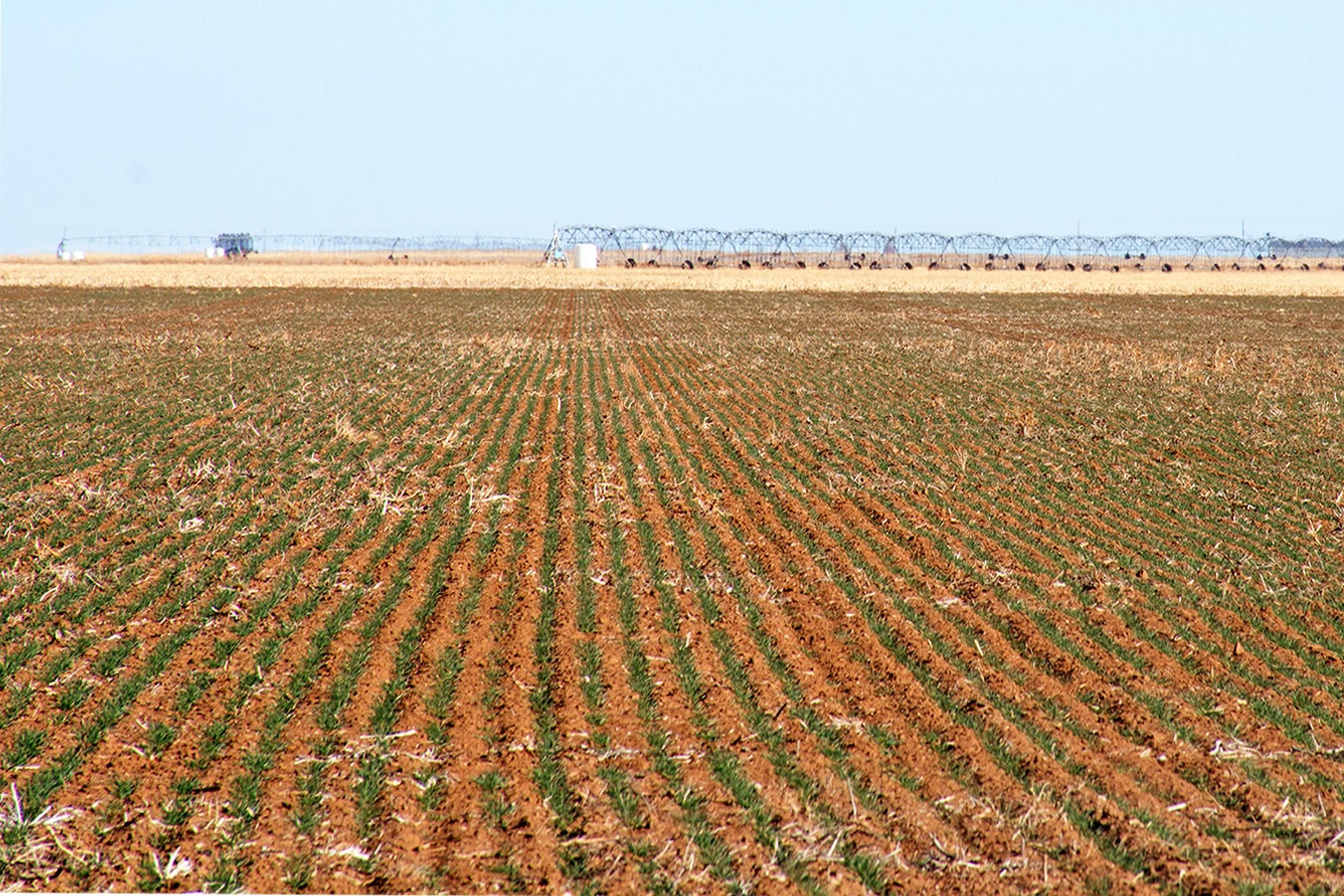 940.65 Acres, Hartley, TX 79044 Land and Farm