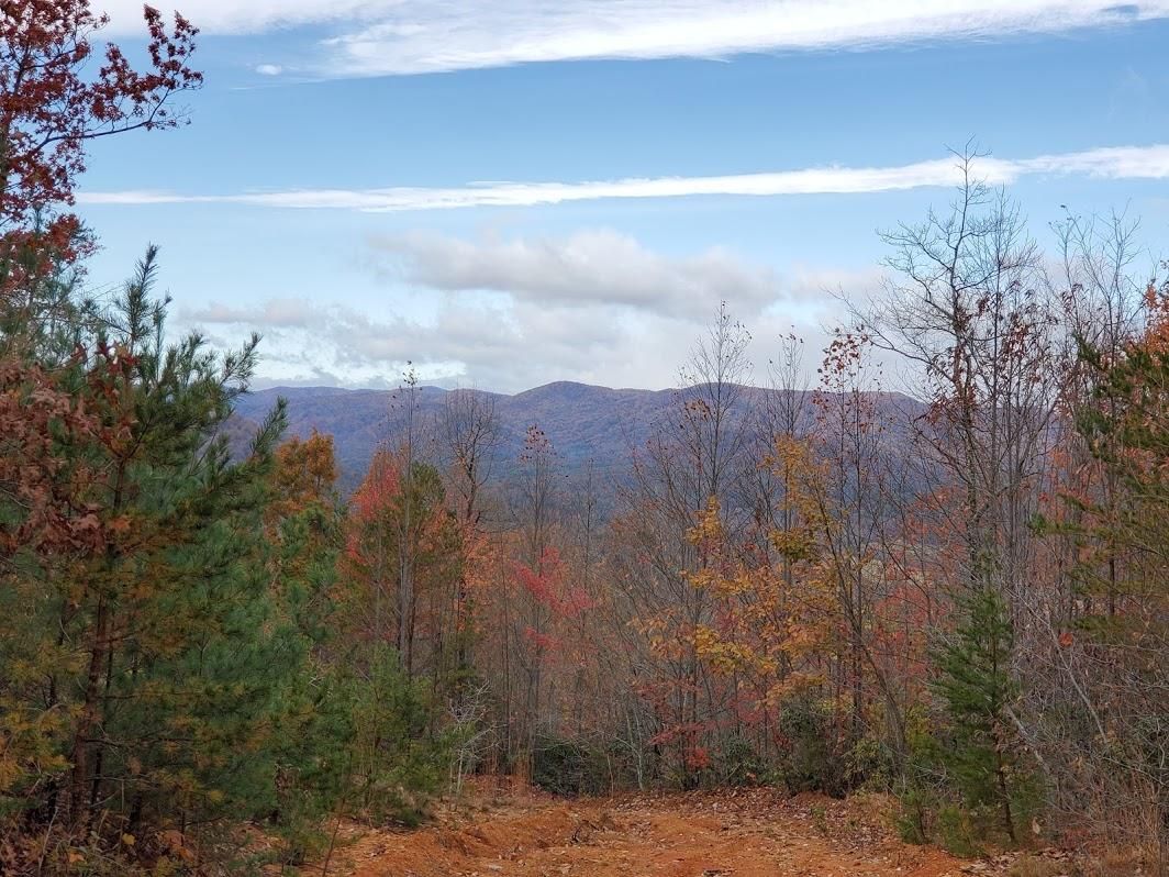 3 Acres, Sparta, NC 28675 Land and Farm