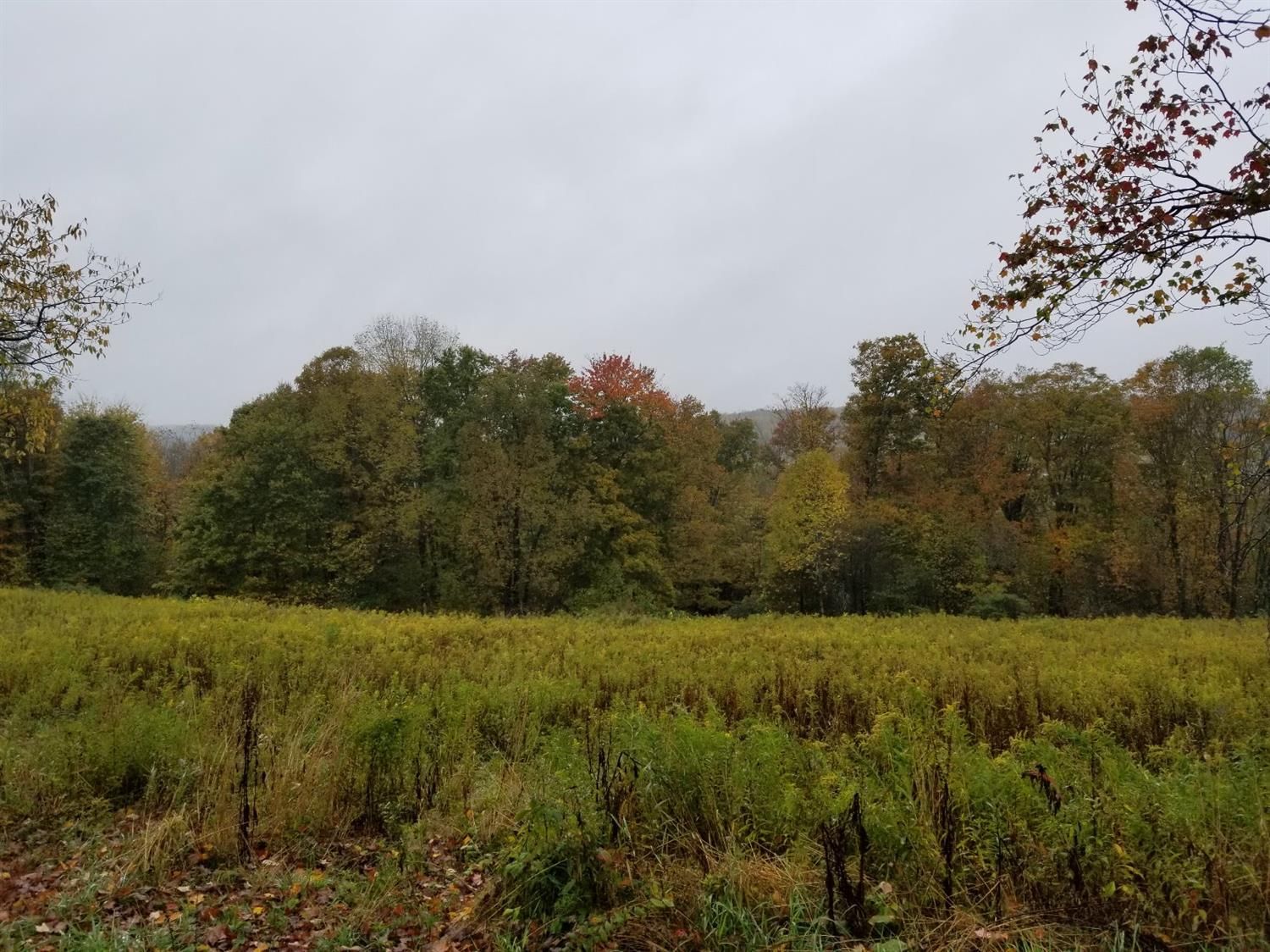24 Acres, 3497 Hubbards Hill Road, Cincinnatus, NY 13040 Land and Farm