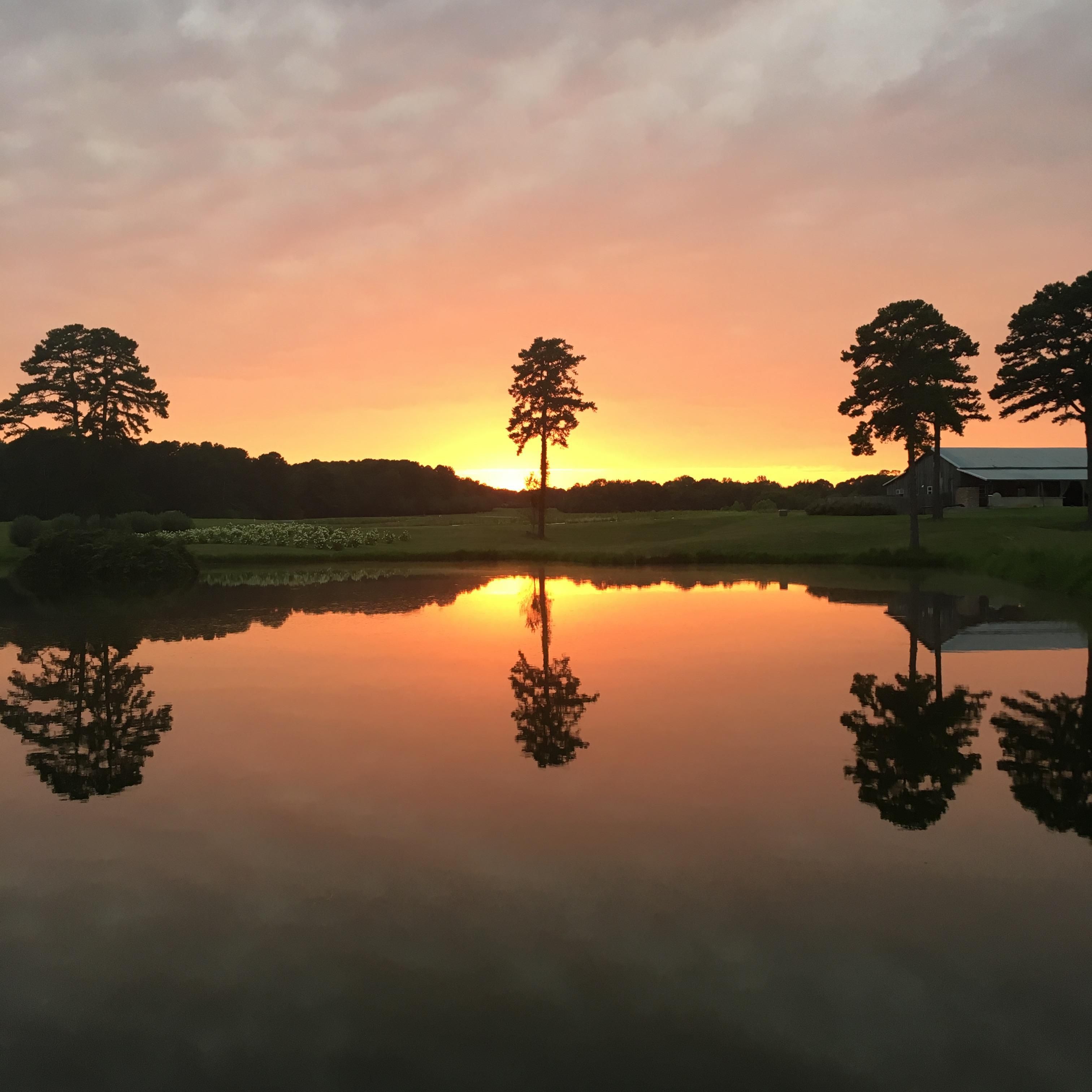 Road 2068, Oxford, MS 38655 Land and Farm