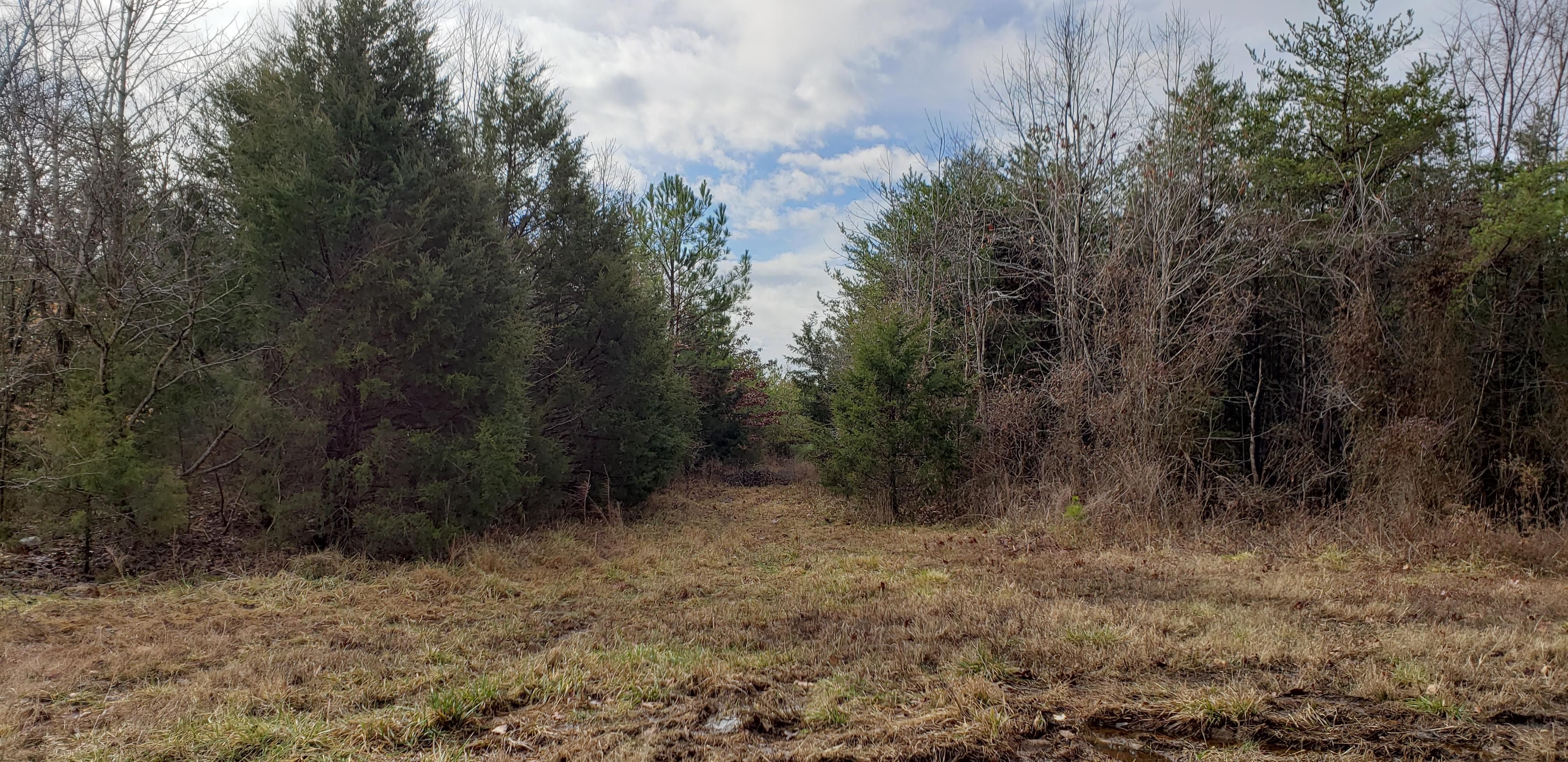 166.5 Acres, CCC Road, Drakes Branch, VA 23937 Land and Farm