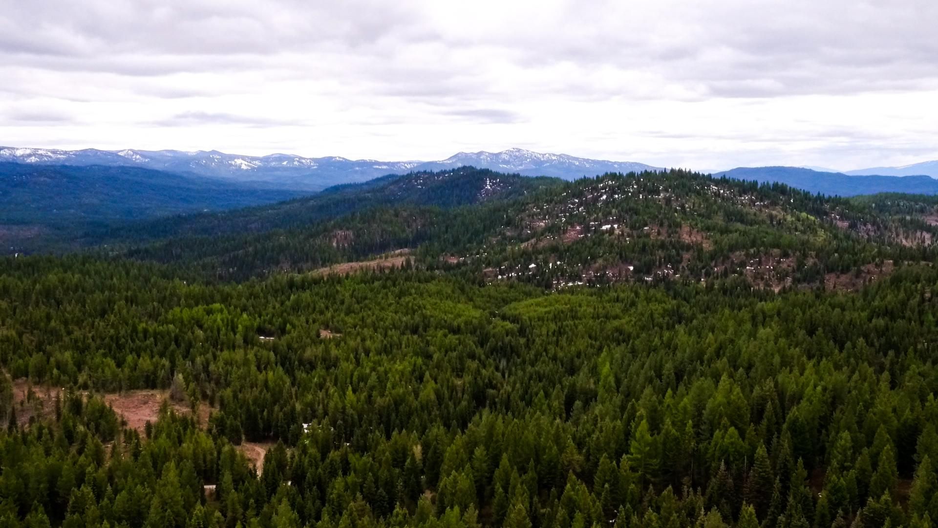 TBD14, Mccall, ID 83638 Land and Farm