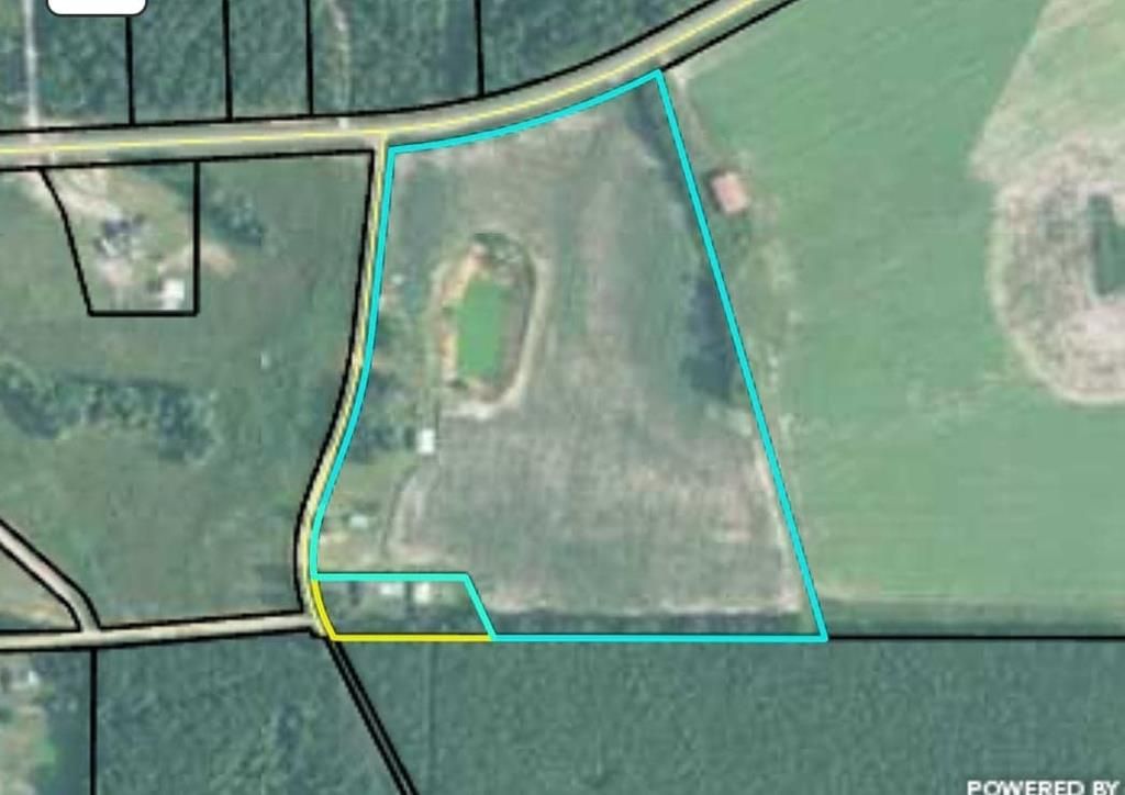 19 Acres, 29 Sellers rd, Hazlehurst, GA 31539 Land and Farm