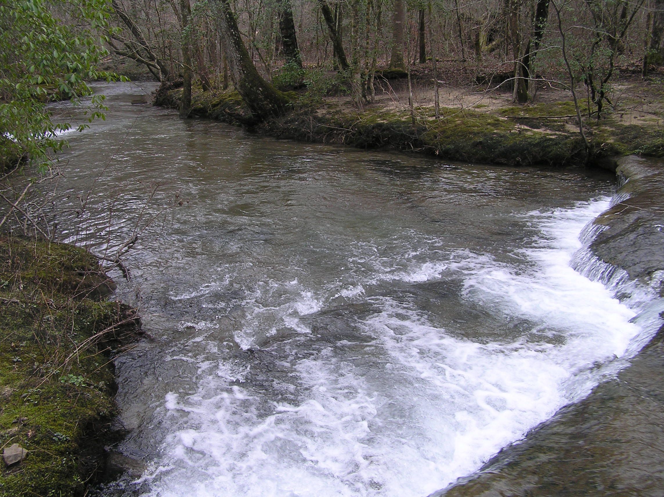 8 Acres, 301 Big Mine Rd, Palmer, TN 37365 Land and Farm