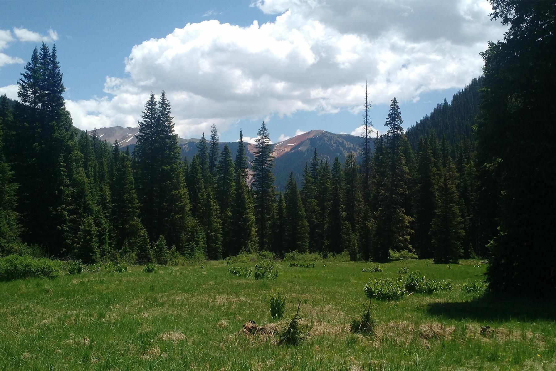 TBD CR 8, Silverton, CO 81433 MLS 766564 Land and Farm