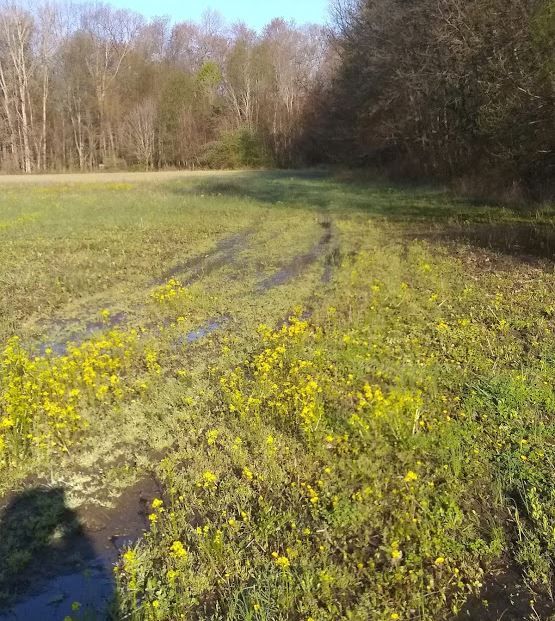 40 Acres, Vl HAWKINS RD, Jackson, MI 49201 Land and Farm