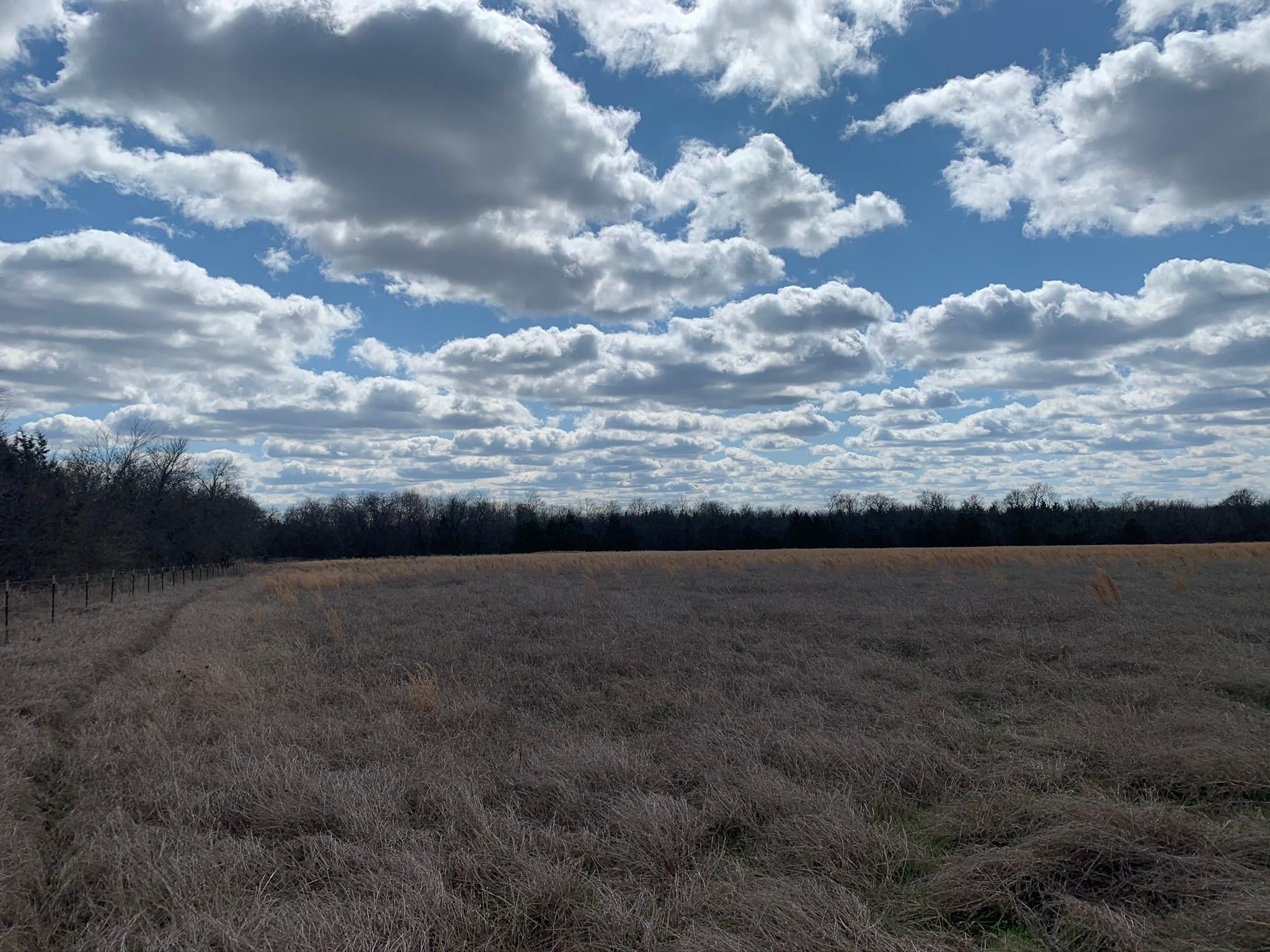 66.12 Acres, Pecan Gap, TX 75469 Land and Farm