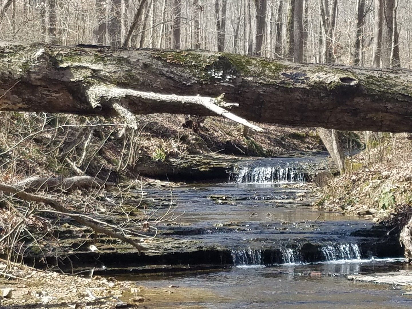 5 Acres, 0 Deer Ridge Rd, Kingston Springs, TN 37082 Land and Farm