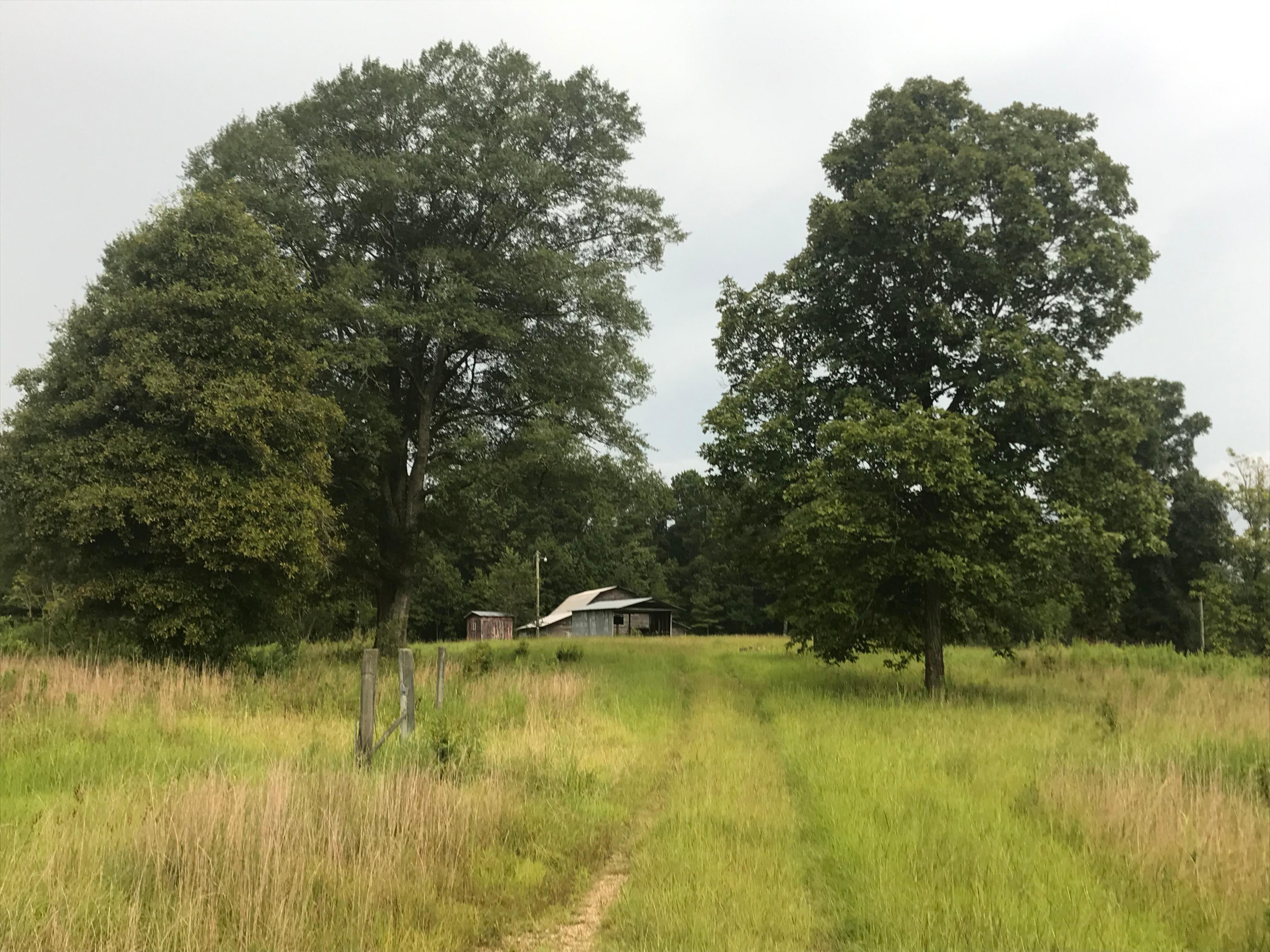 120 Acres, County Home Rd, Eupora, MS 39744 Land and Farm