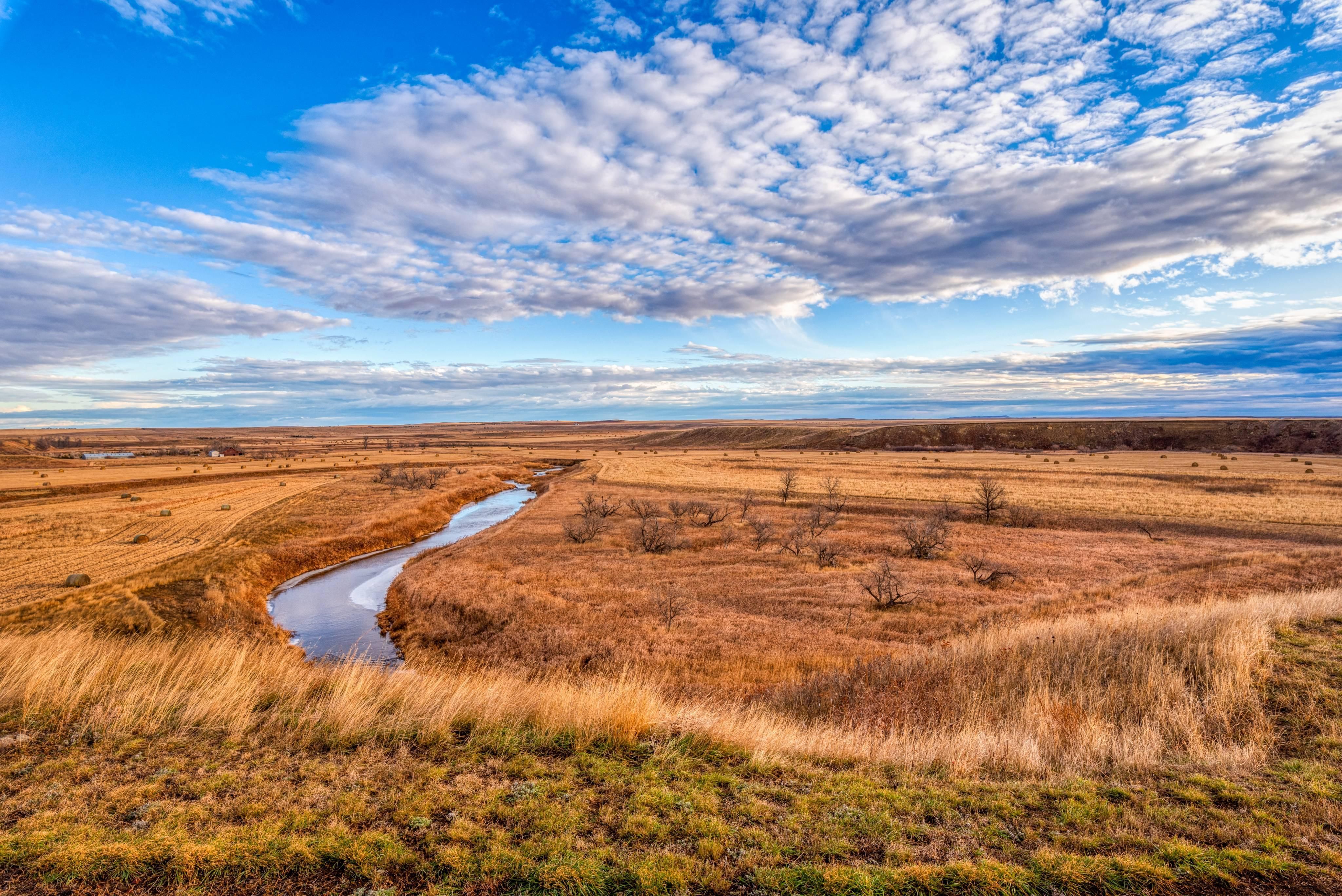 240 Acres, Hettinger, ND 58639 Land and Farm