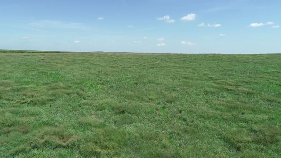 159.38 Acres, Hayes Center, Hayes Center, NE 69032 Land and Farm