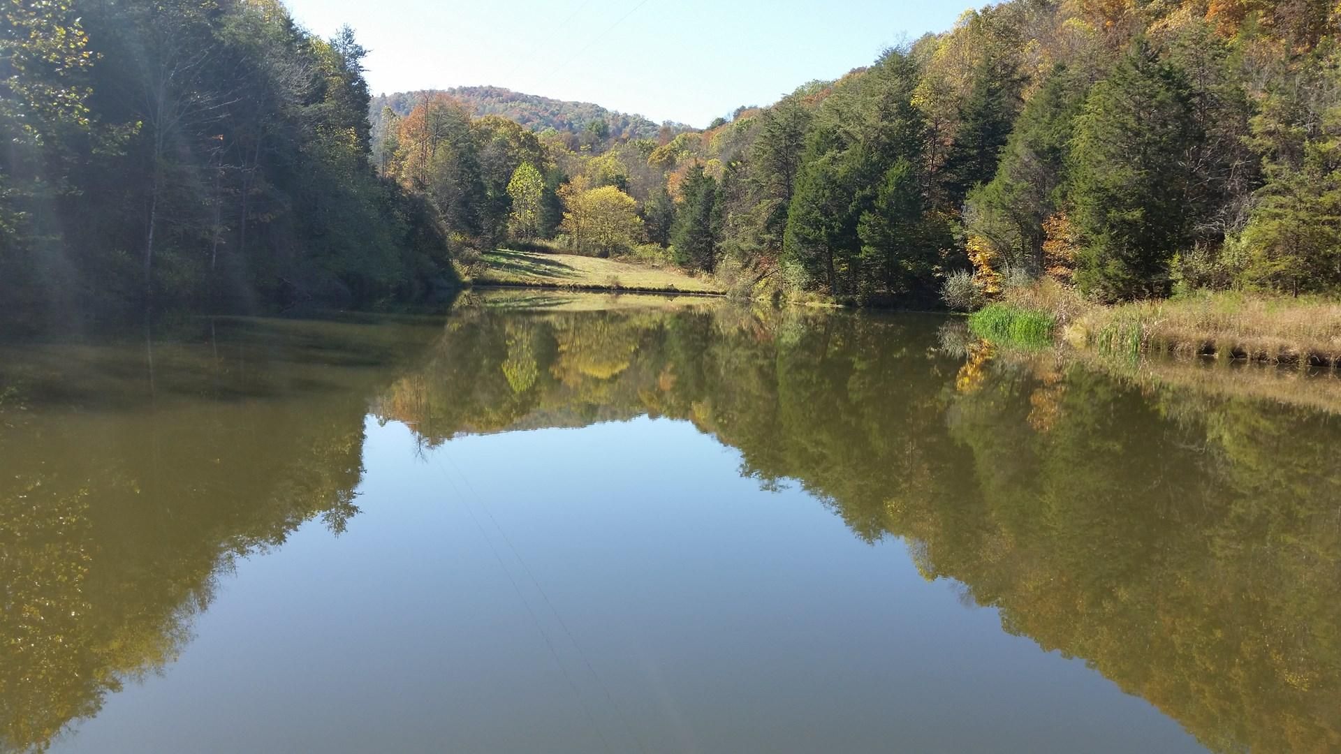 439 Acres, Forest Hill, WV 24978 Land and Farm