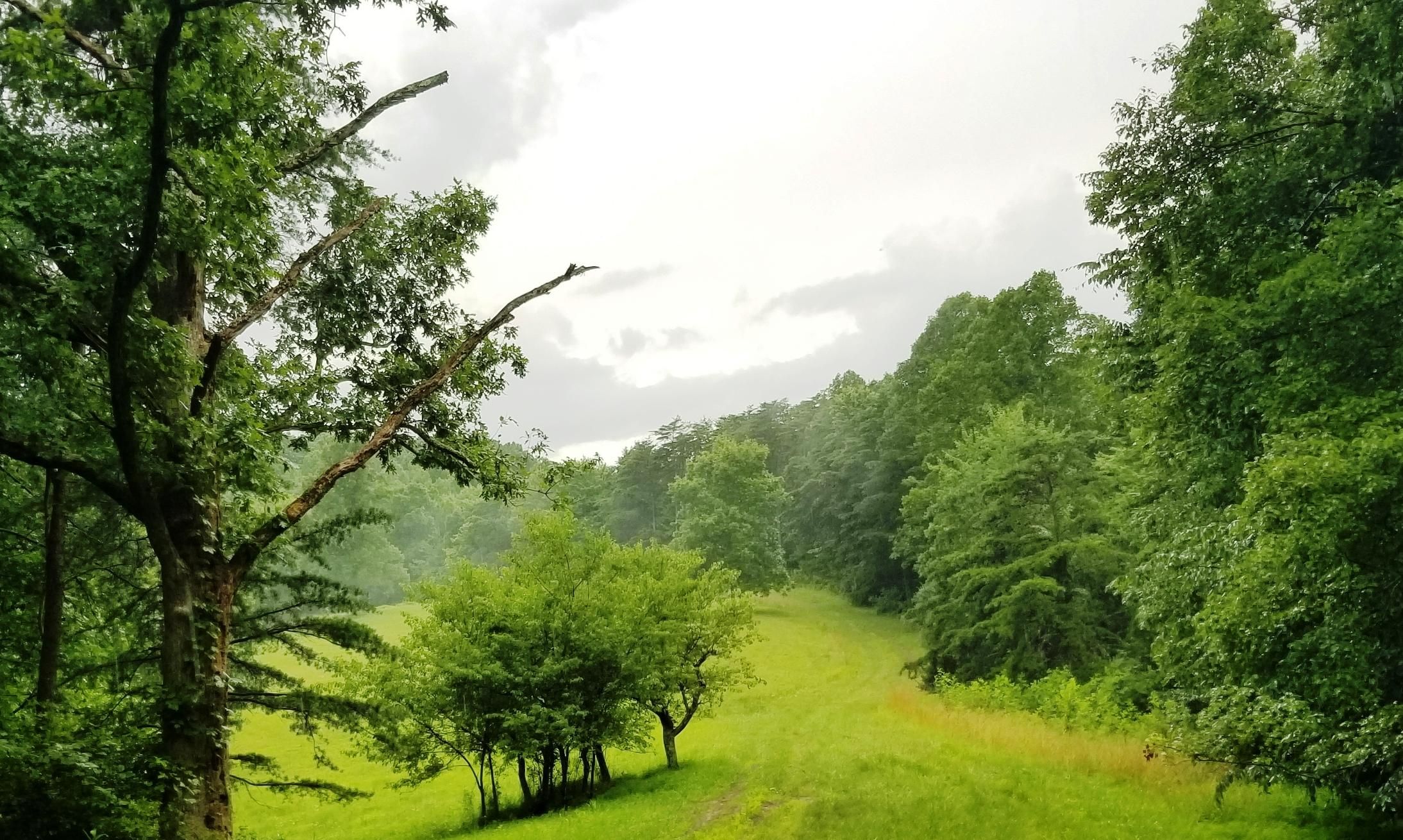 1,175 Acres, Allens Fork Road, Sissonville, WV 25320 Land and Farm