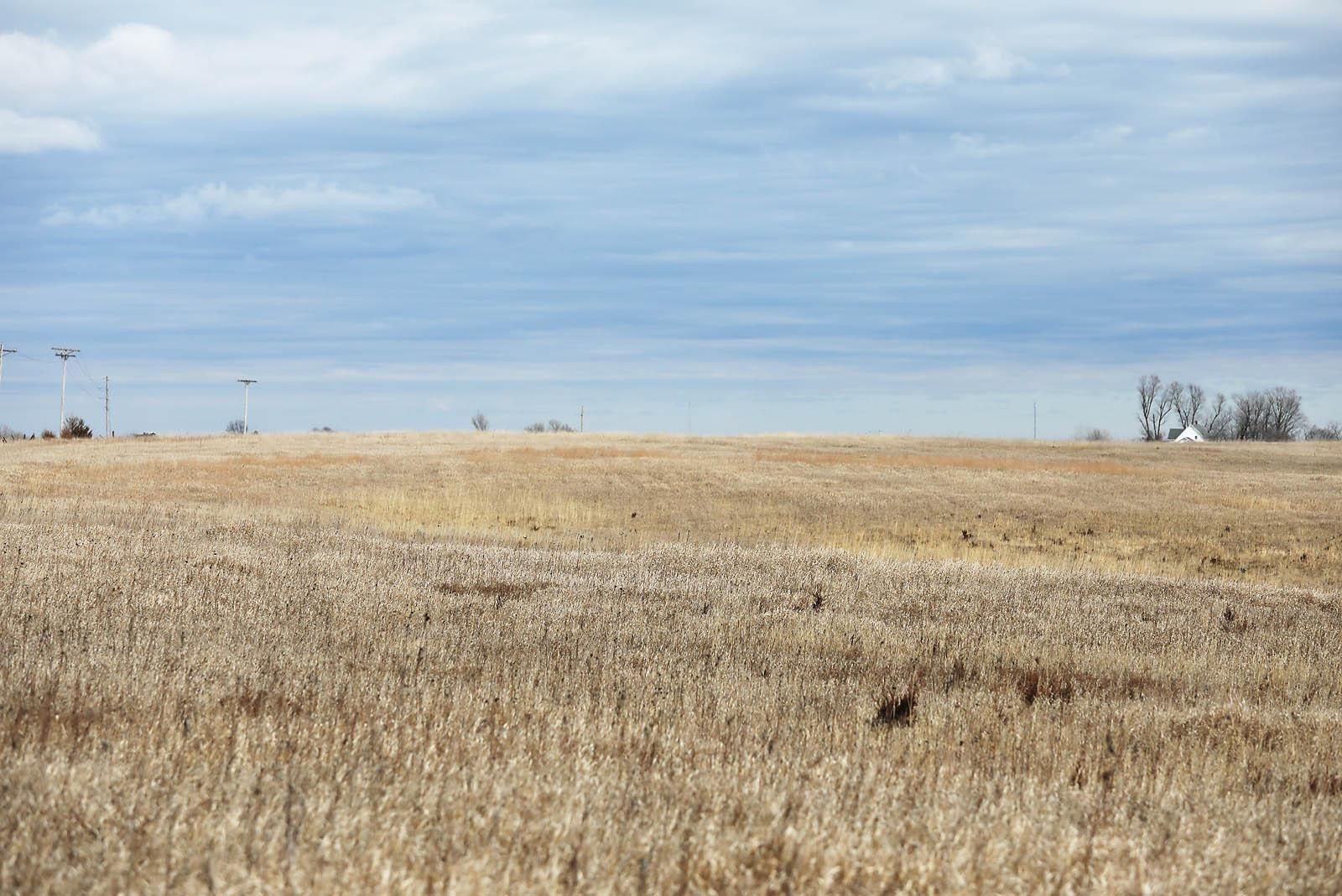 92 acres in Newtown, MO, 64667 Land and Farm