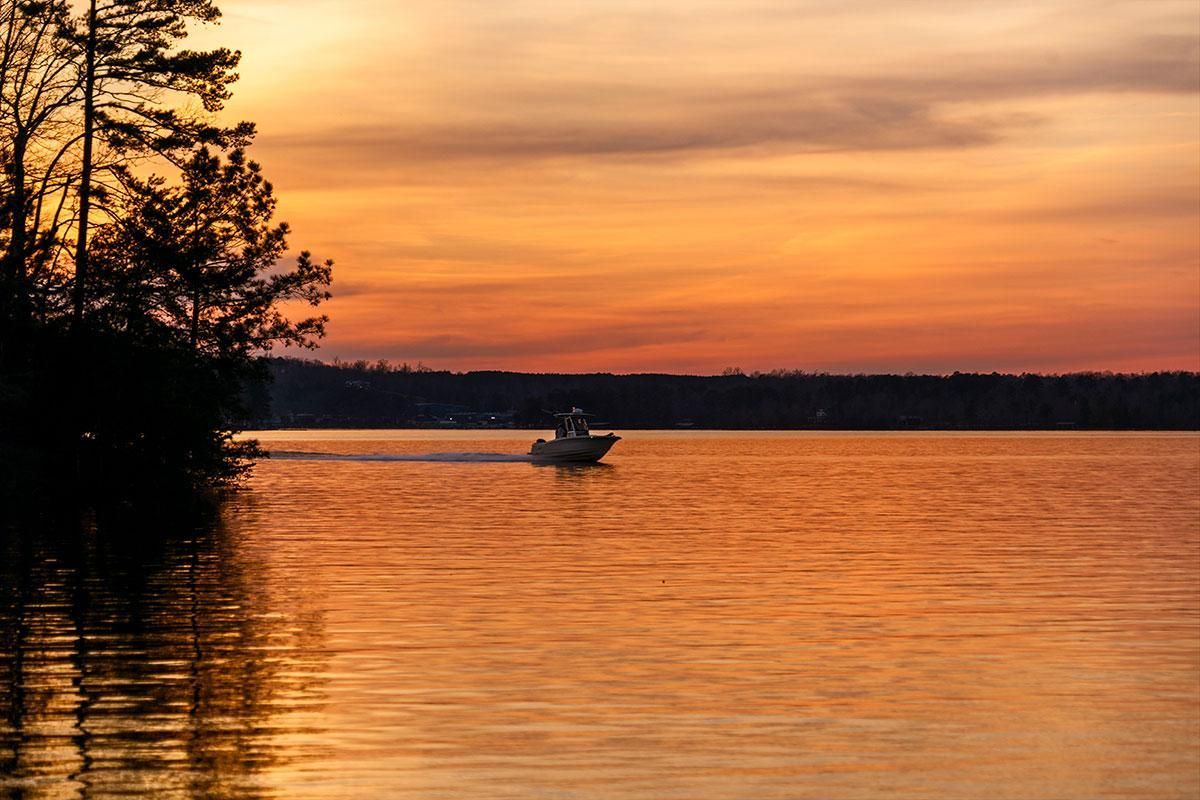 0.54 Acres, CR 63, Arley, AL 35541 Land and Farm