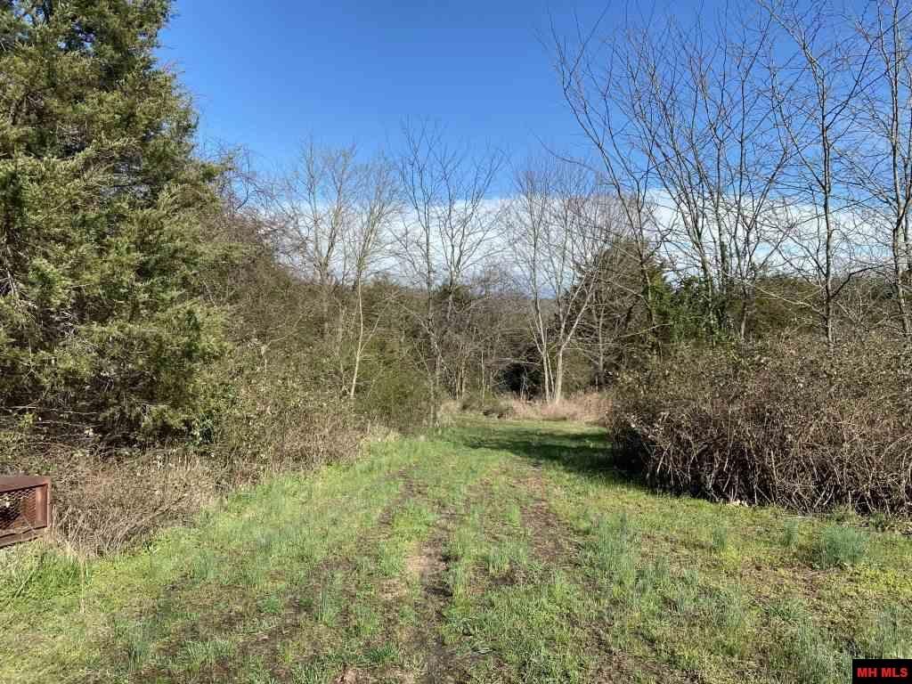 68.83 Acres, 11287 HWY 101, Gamaliel, AR 72537 Land and Farm