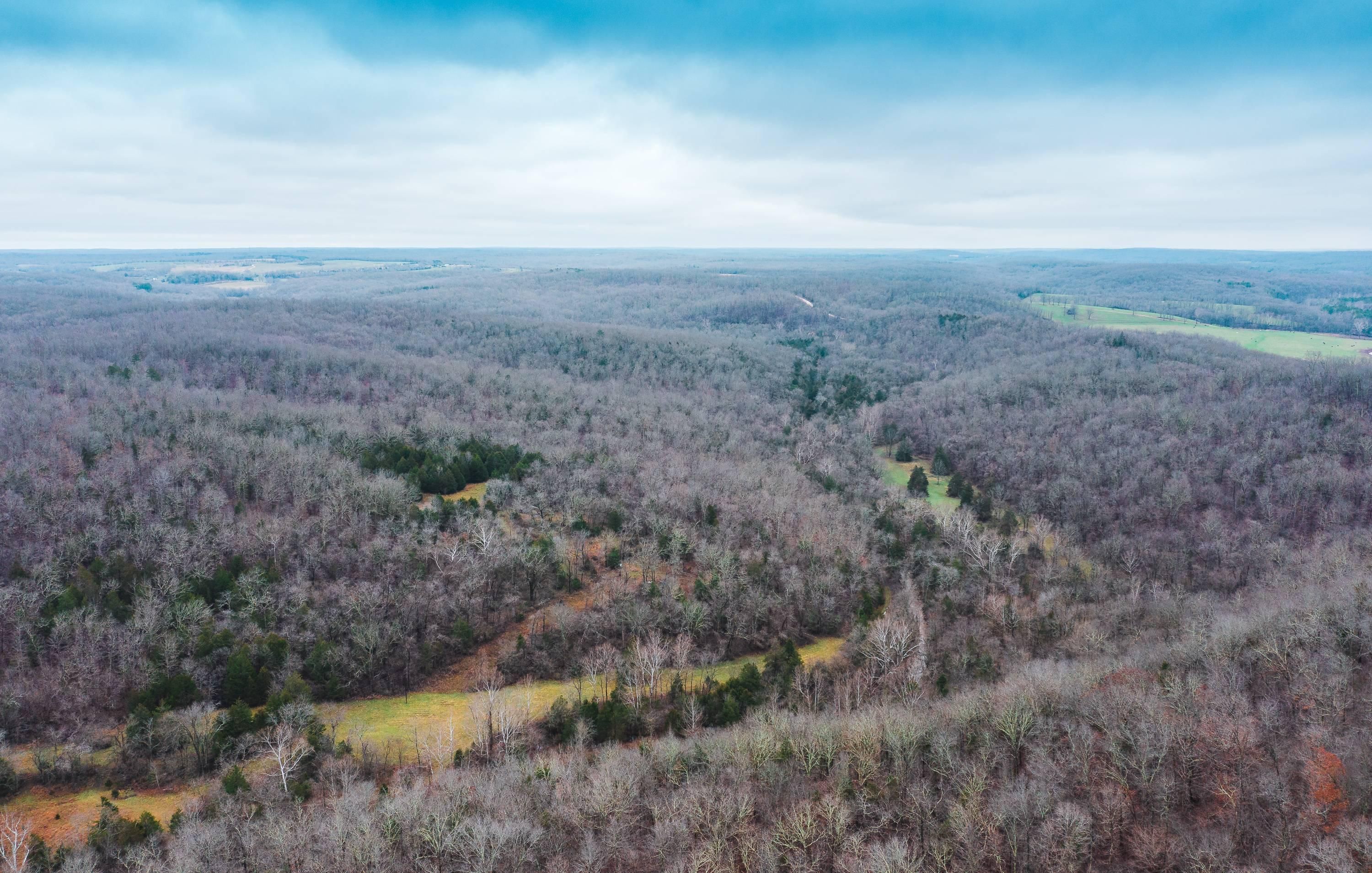 194 Acres, 28260 County Road 6390, Edgar Springs, MO 65462 Land and Farm