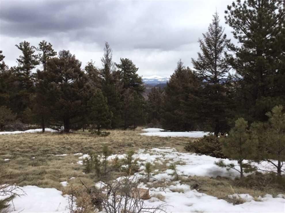 3700 S T Bar, Canon City, CO Land and Farm