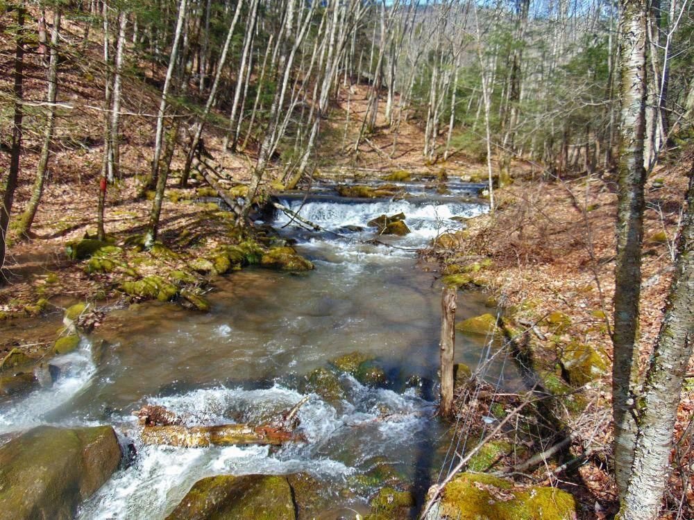 Back Mountain Road, Durbin, WV 26264 MLS BACK MOUNTAIN FOREST Land